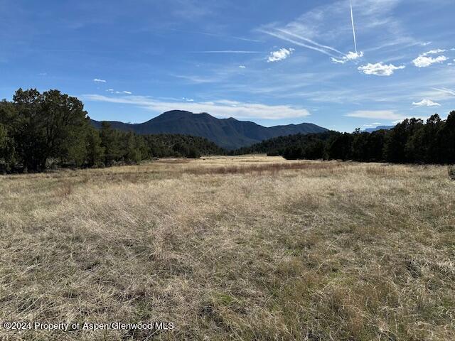 Tbd Lot 4 266 Road Property Photo 11