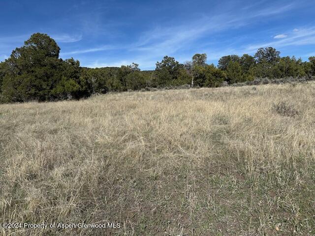 Tbd Lot 4 266 Road Property Photo 12