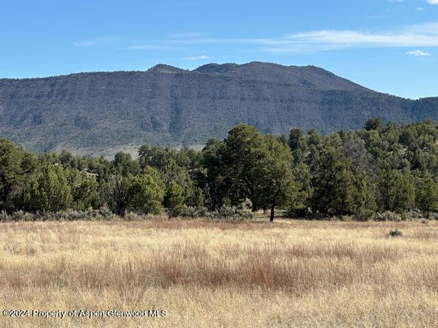 Tbd Lot 4 266 Road Property Photo 15