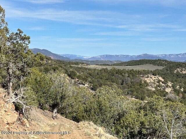 Tbd Lot 4 266 Road Property Photo 16