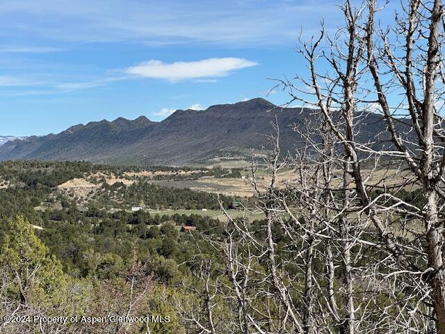 Tbd Lot 4 266 Road Property Photo 17
