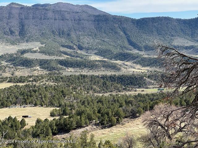 Tbd Lot 4 266 Road Property Photo 18