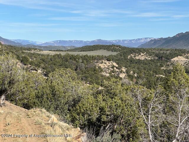 Tbd Lot 4 266 Road Property Photo 21