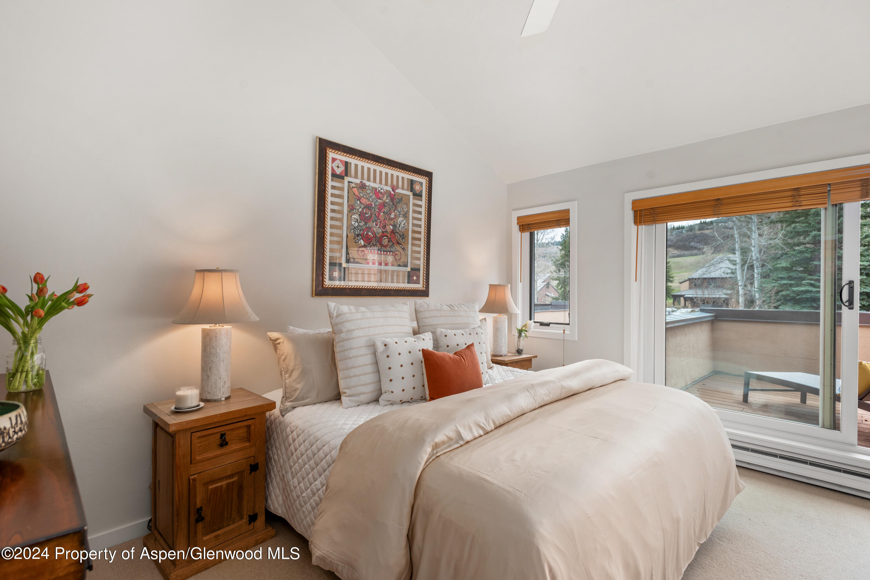 467 Snowmass Club Circle #27 Property Photo 9