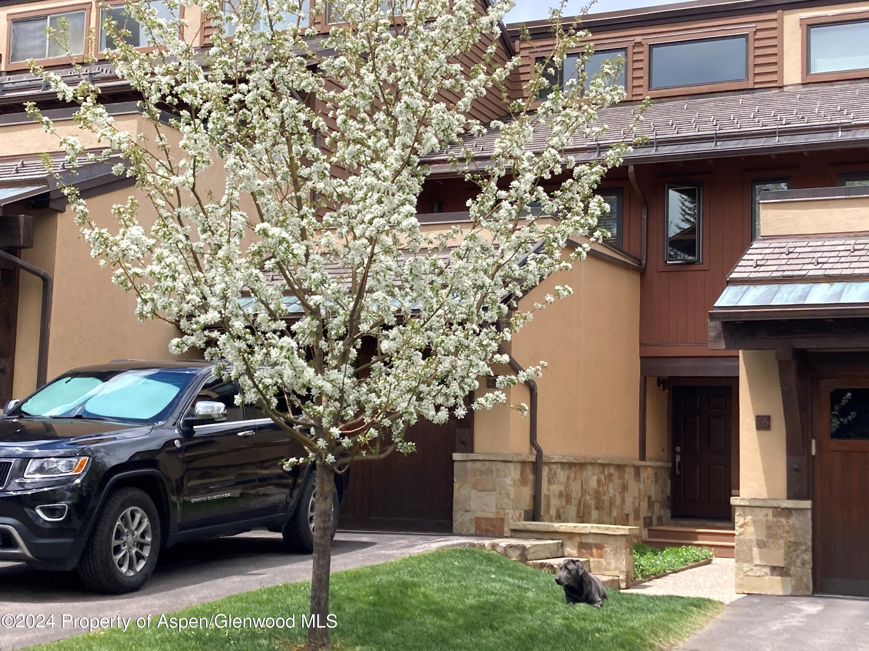 467 Snowmass Club Circle #27 Property Photo 19