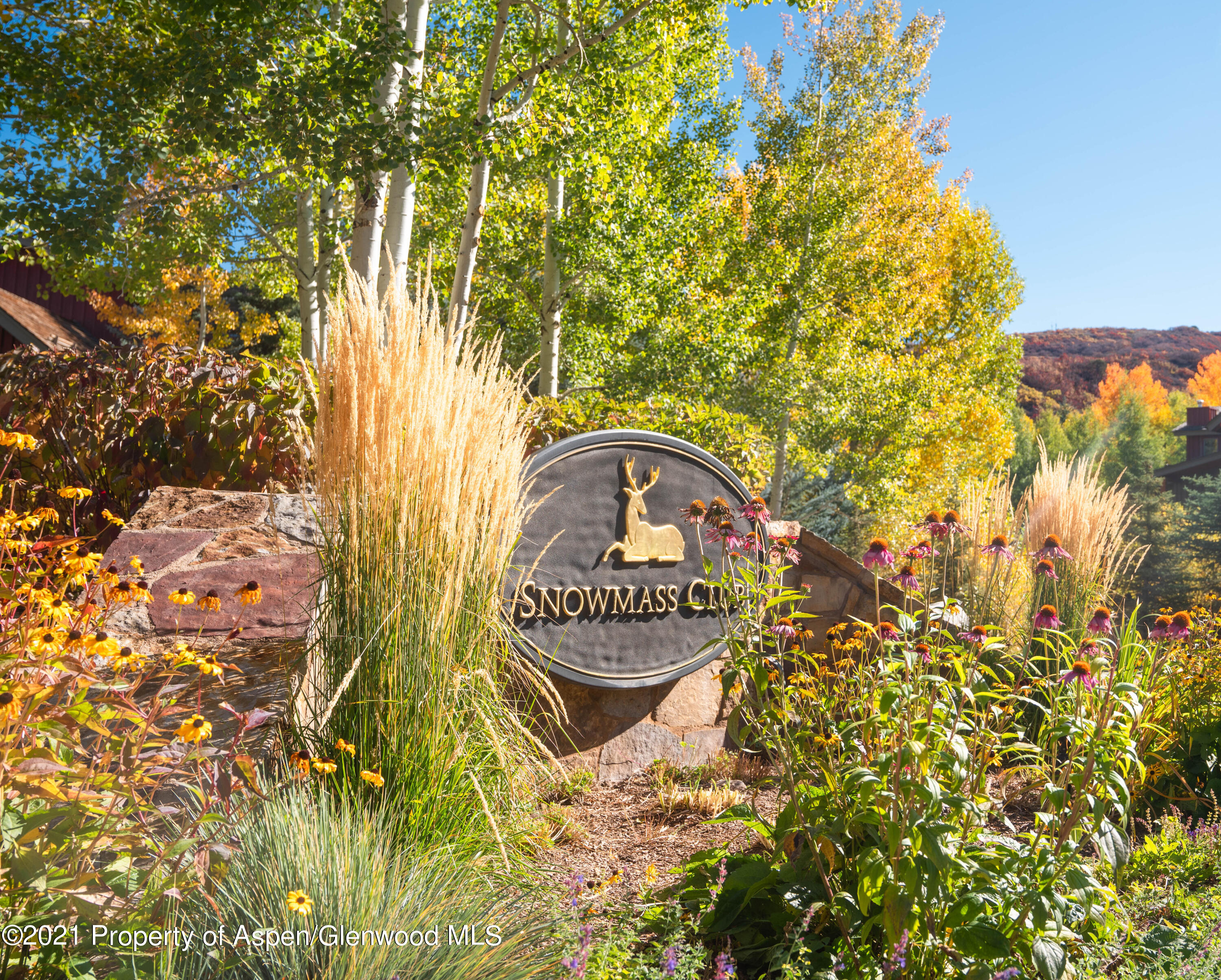 0239 Snowmass Club Circle, 112 Property Photo 12