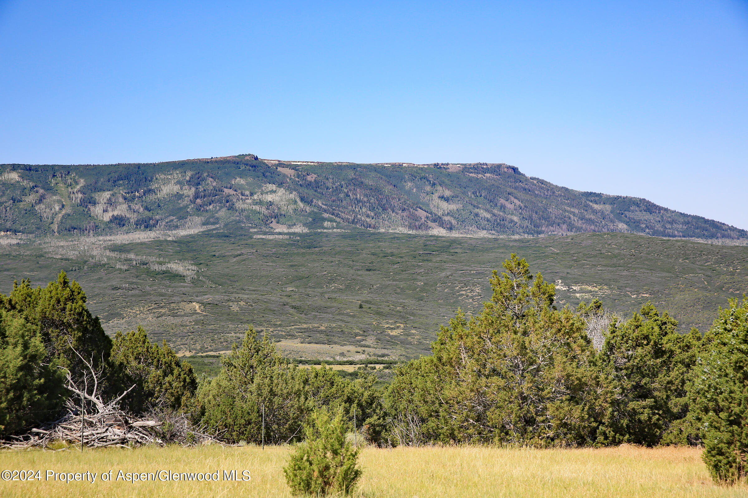 8066 Bosque Del Oso Lane Property Photo 3