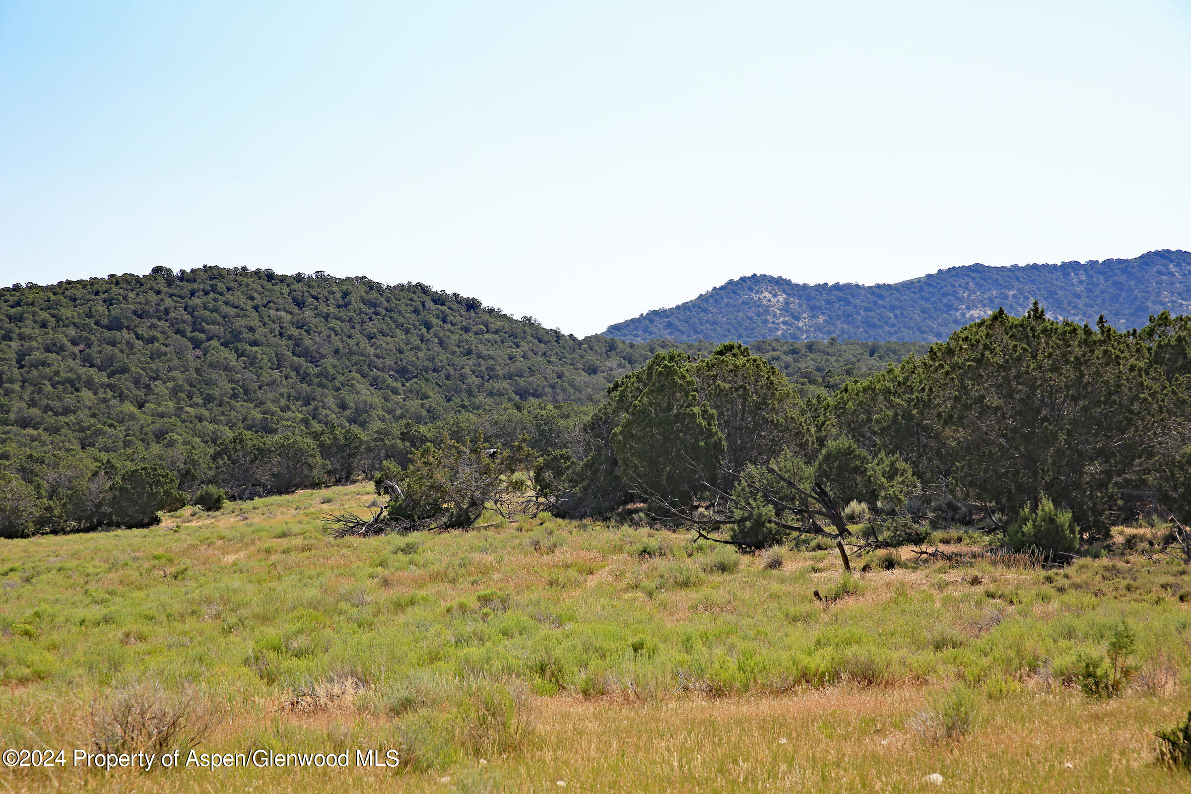8066 Bosque Del Oso Lane Property Photo 9