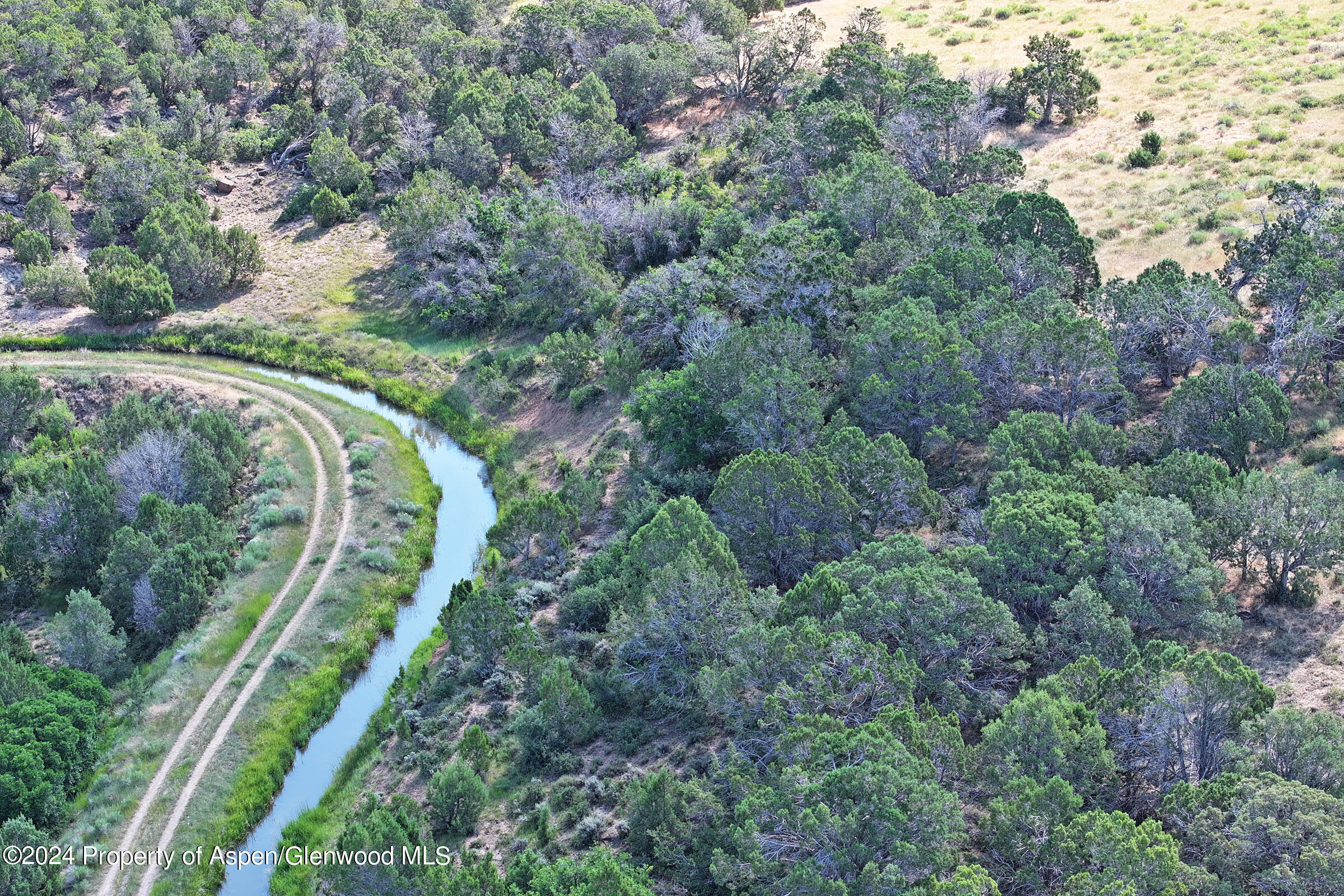 8066 Bosque Del Oso Lane Property Photo 12