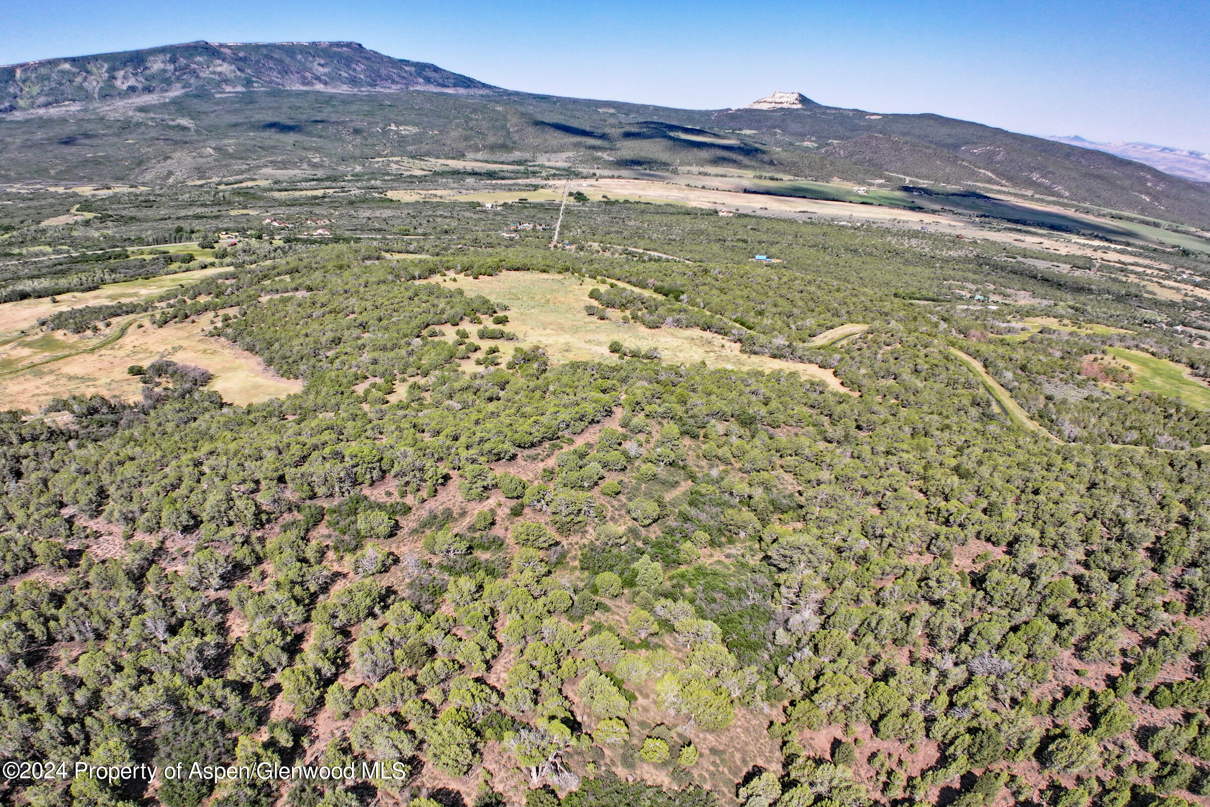 8066 Bosque Del Oso Lane Property Photo 14