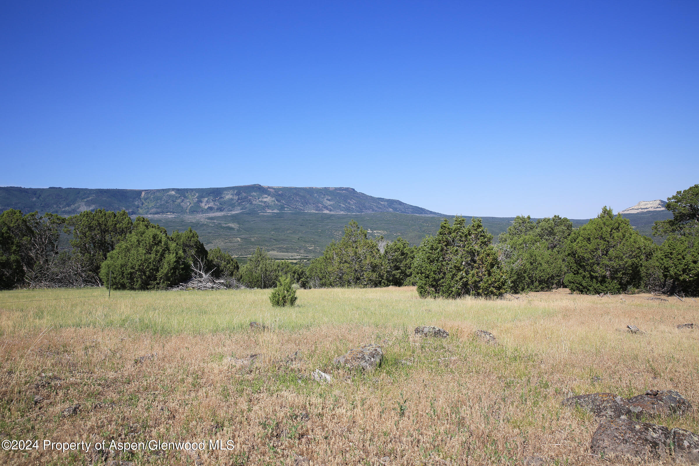 8066 Bosque Del Oso Lane Property Photo 24