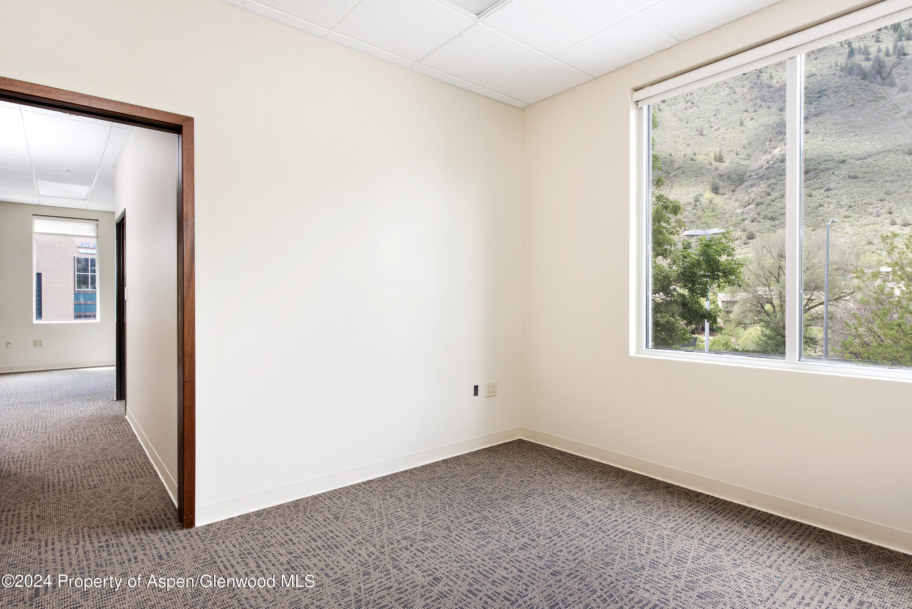 2520 S Grand Avenue, 203 Property Photo 7