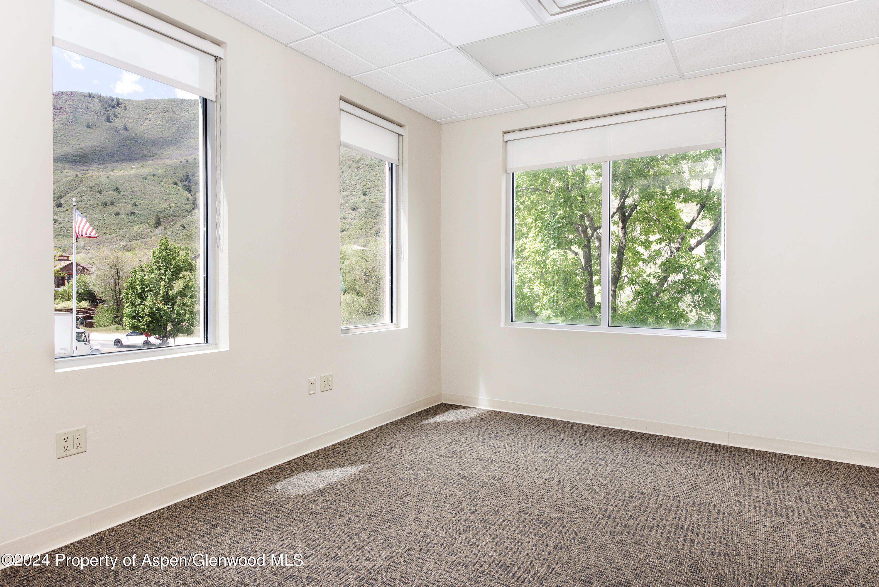2520 S Grand Avenue, 203 Property Photo 10