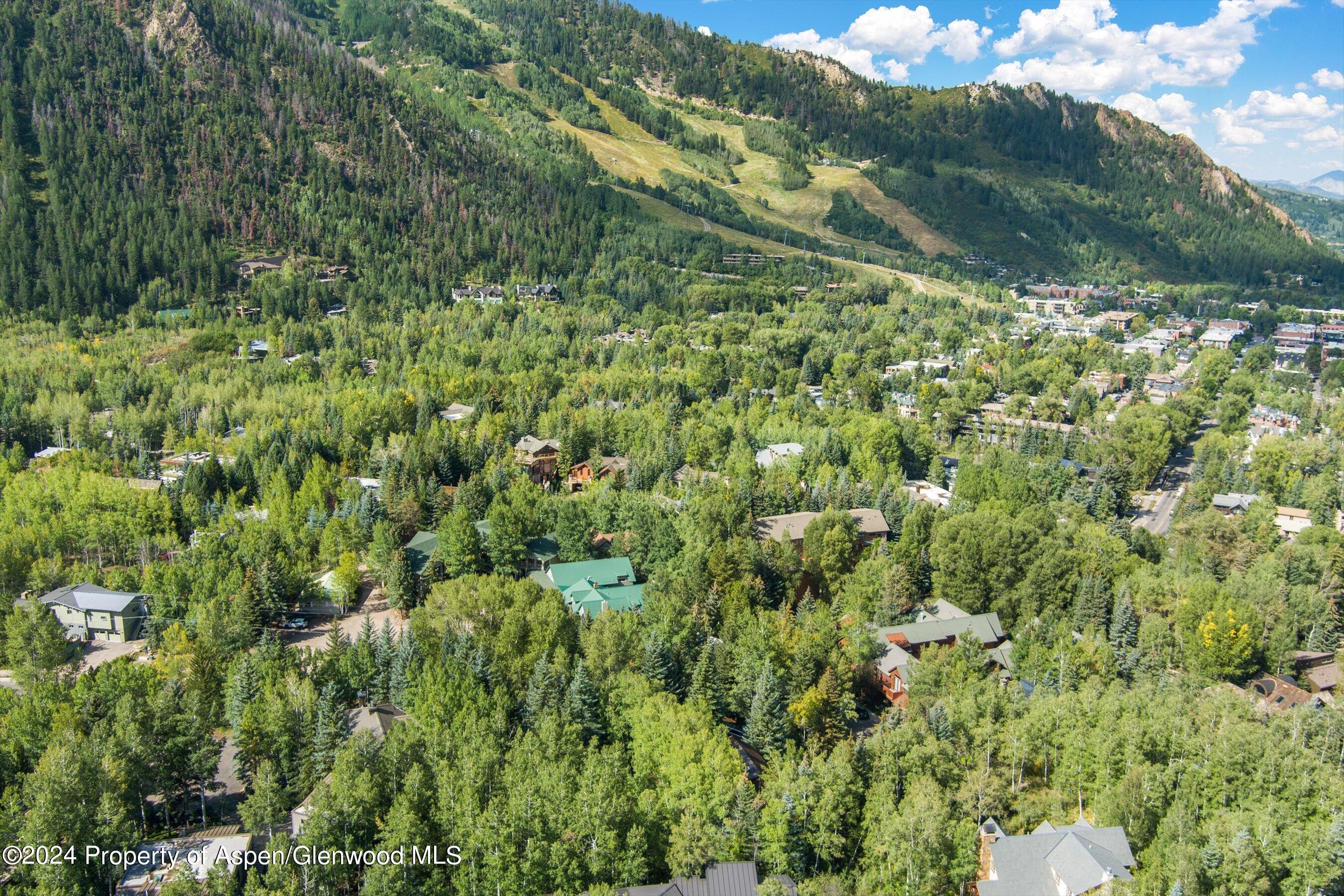 66 Alpine Court Property Photo 41