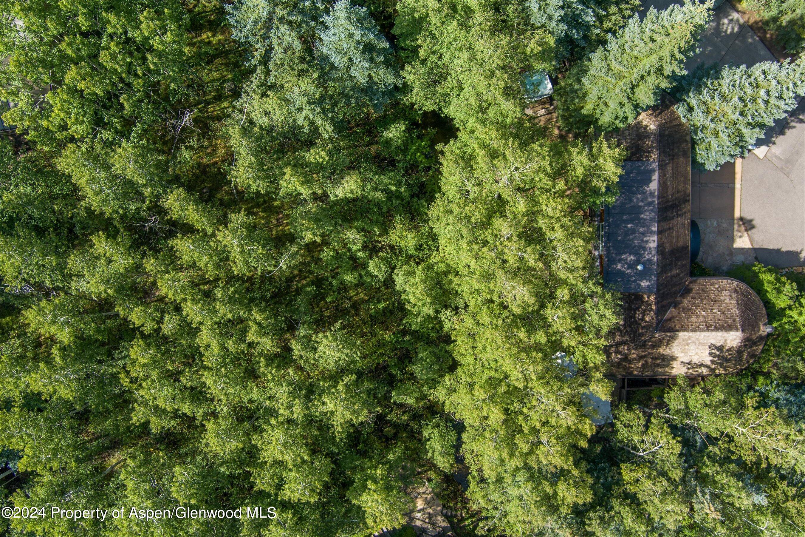 66 Alpine Court Property Photo 42