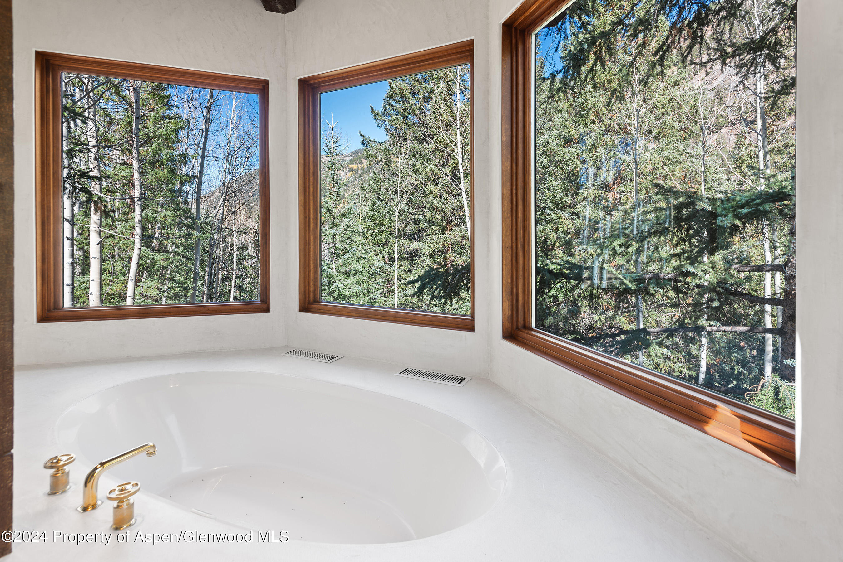 9888 Castle Creek Road Property Photo 25