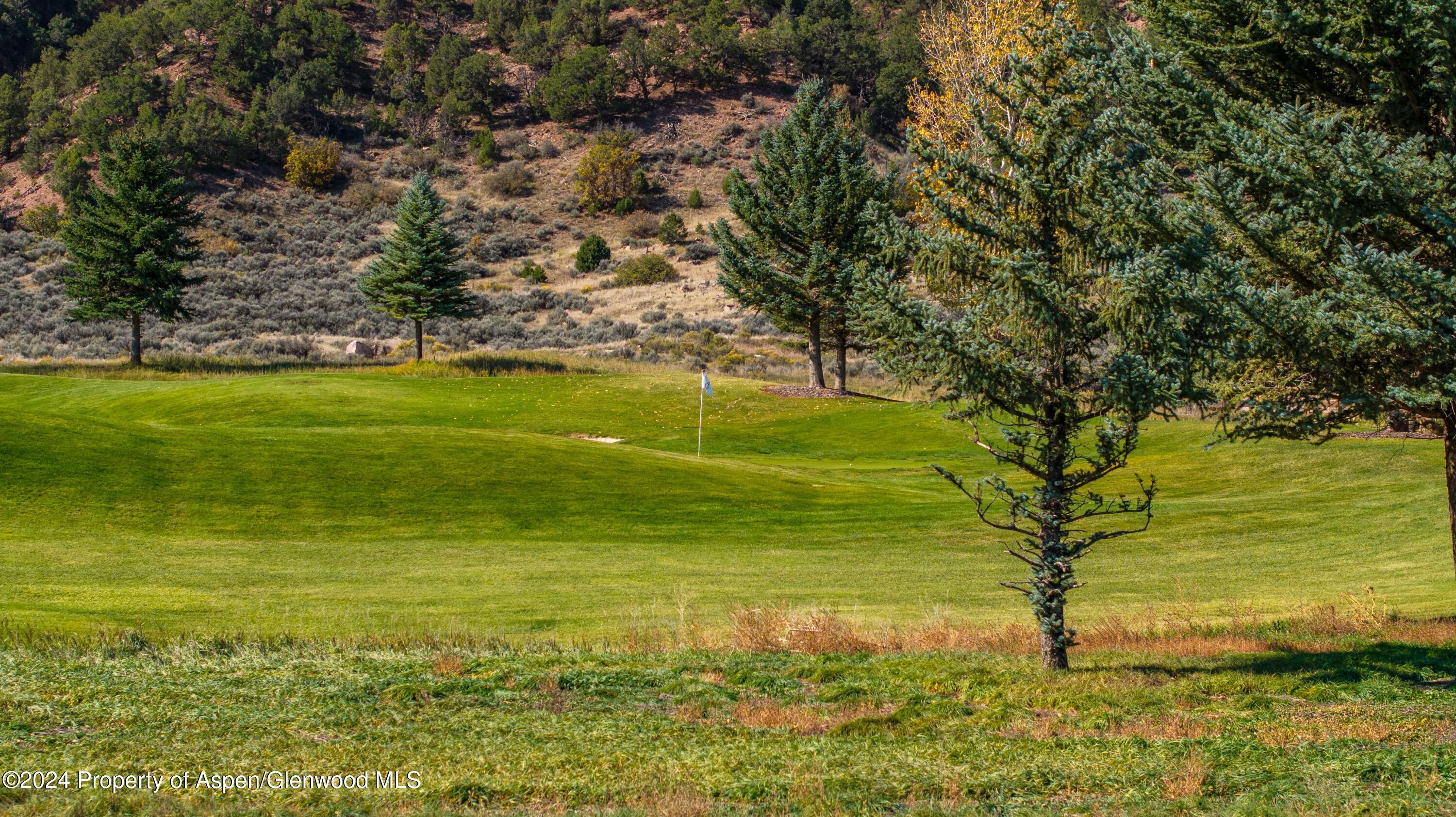 Tbd Golden Bear Drive Property Photo 13