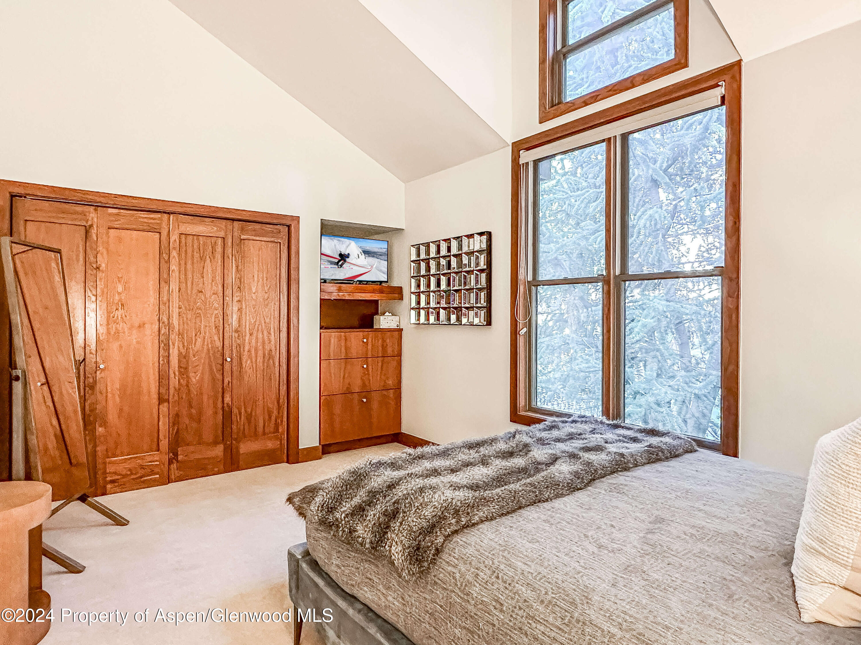602 W Hallam Street Property Photo 30