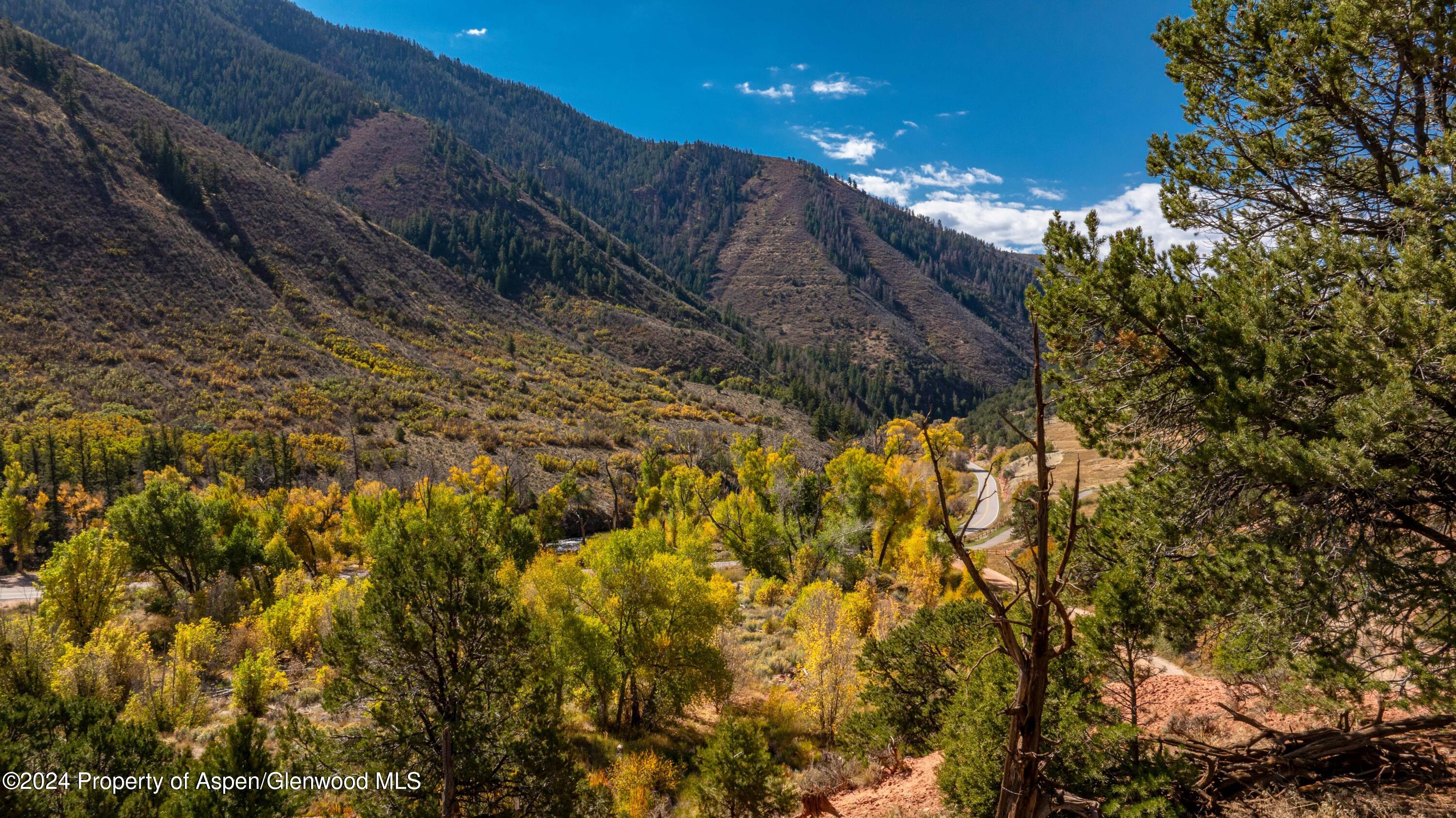 4269 Frying Pan Road, Lot #3 Property Photo 6