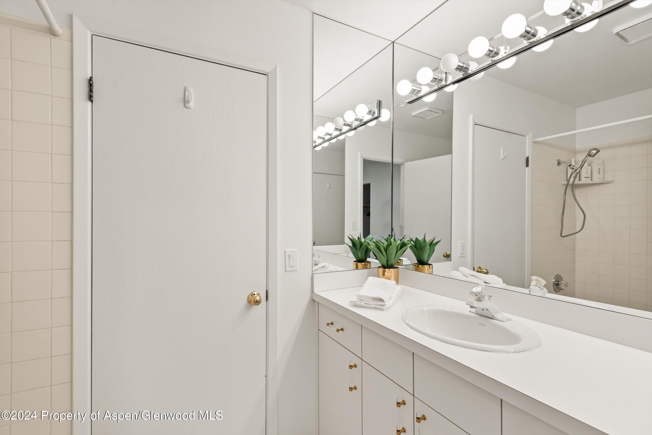 814 W Bleeker Street, D1 Property Photo 15