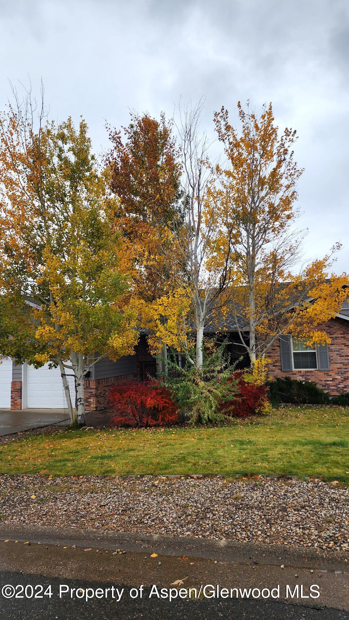 1290 Alta Vista Drive Property Photo 4