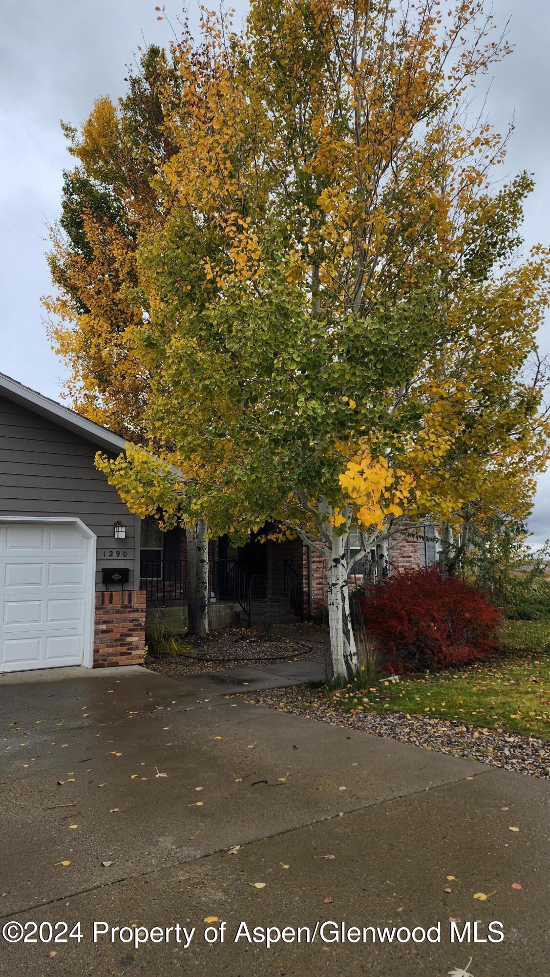 1290 Alta Vista Drive Property Photo 75