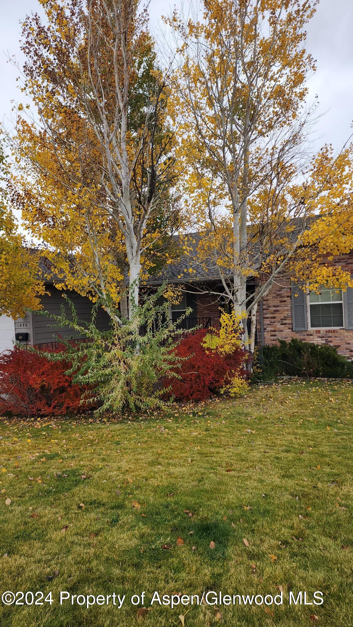 1290 Alta Vista Drive Property Photo 78
