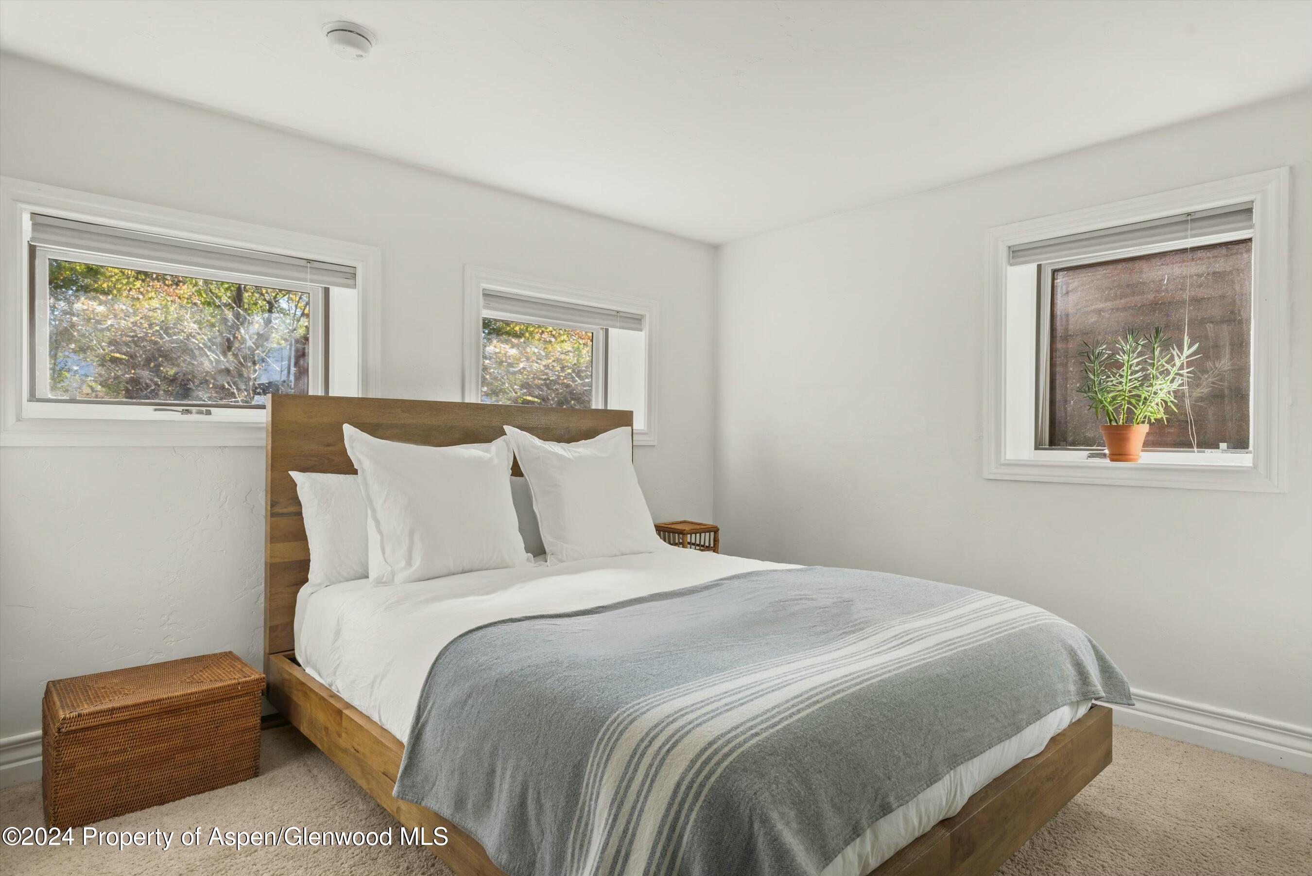 120 E Sopris Drive Property Photo 26