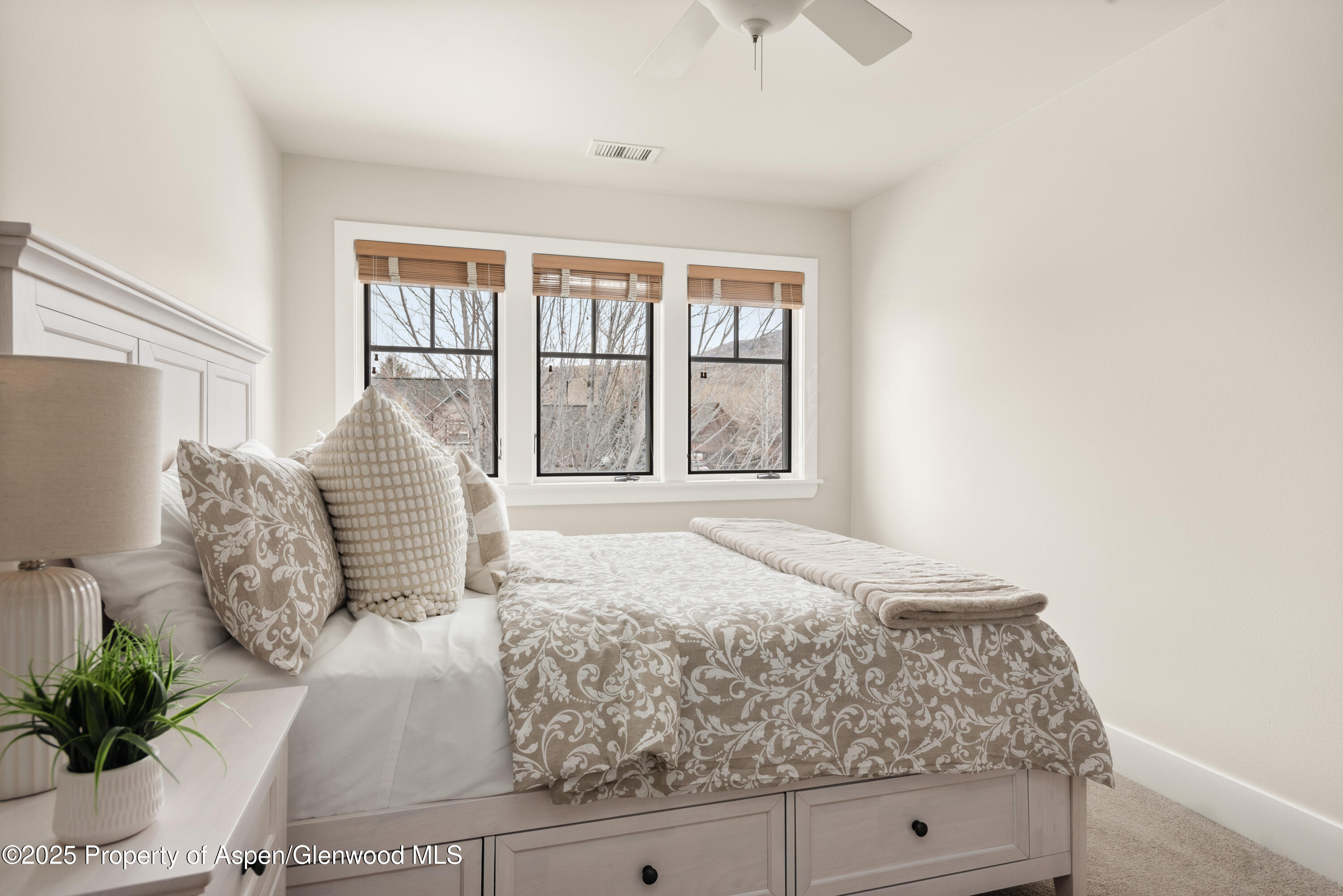 314 Sopris Circle Property Photo 20