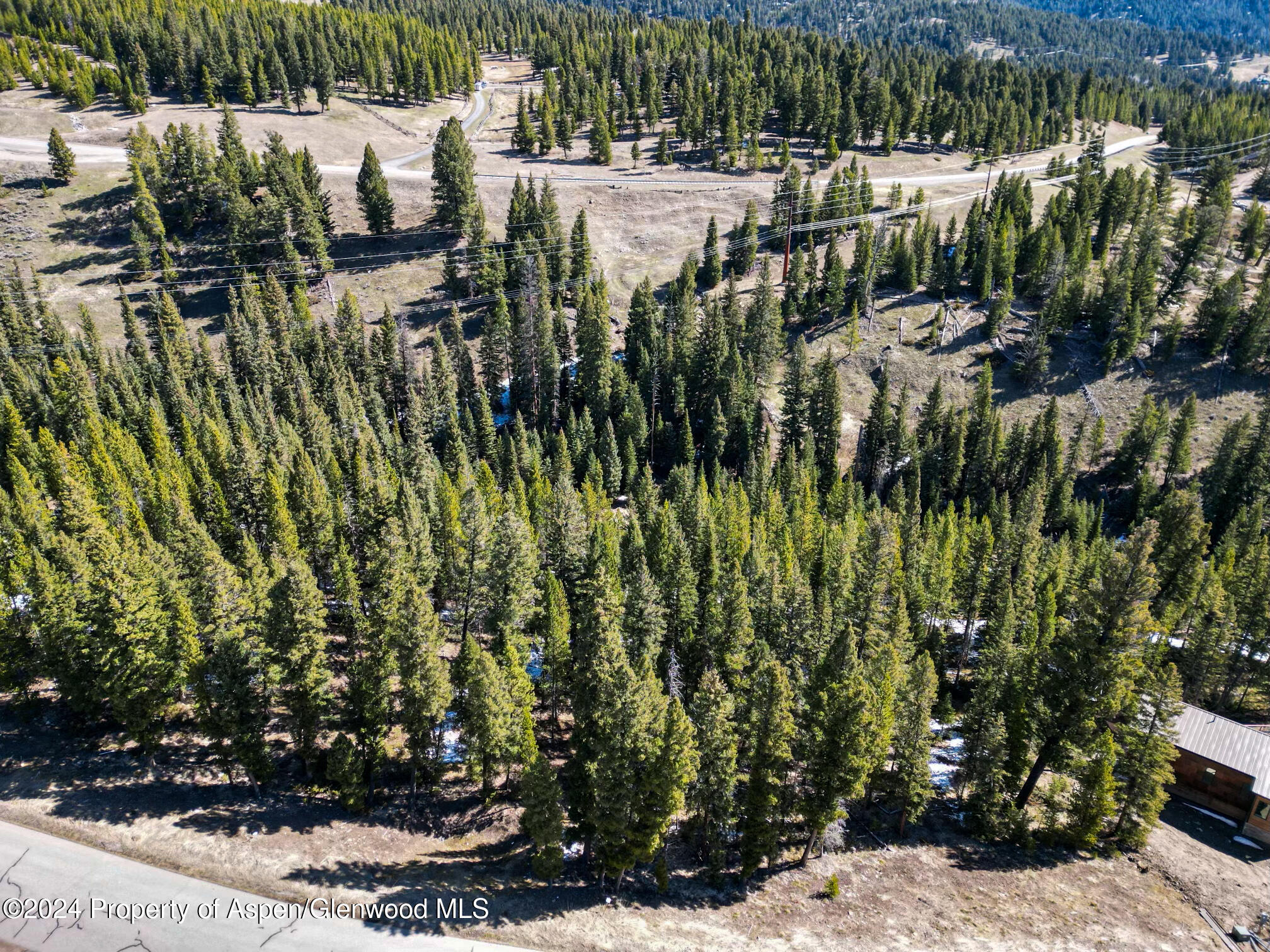 389 Antler Ridge Road Property Photo 6