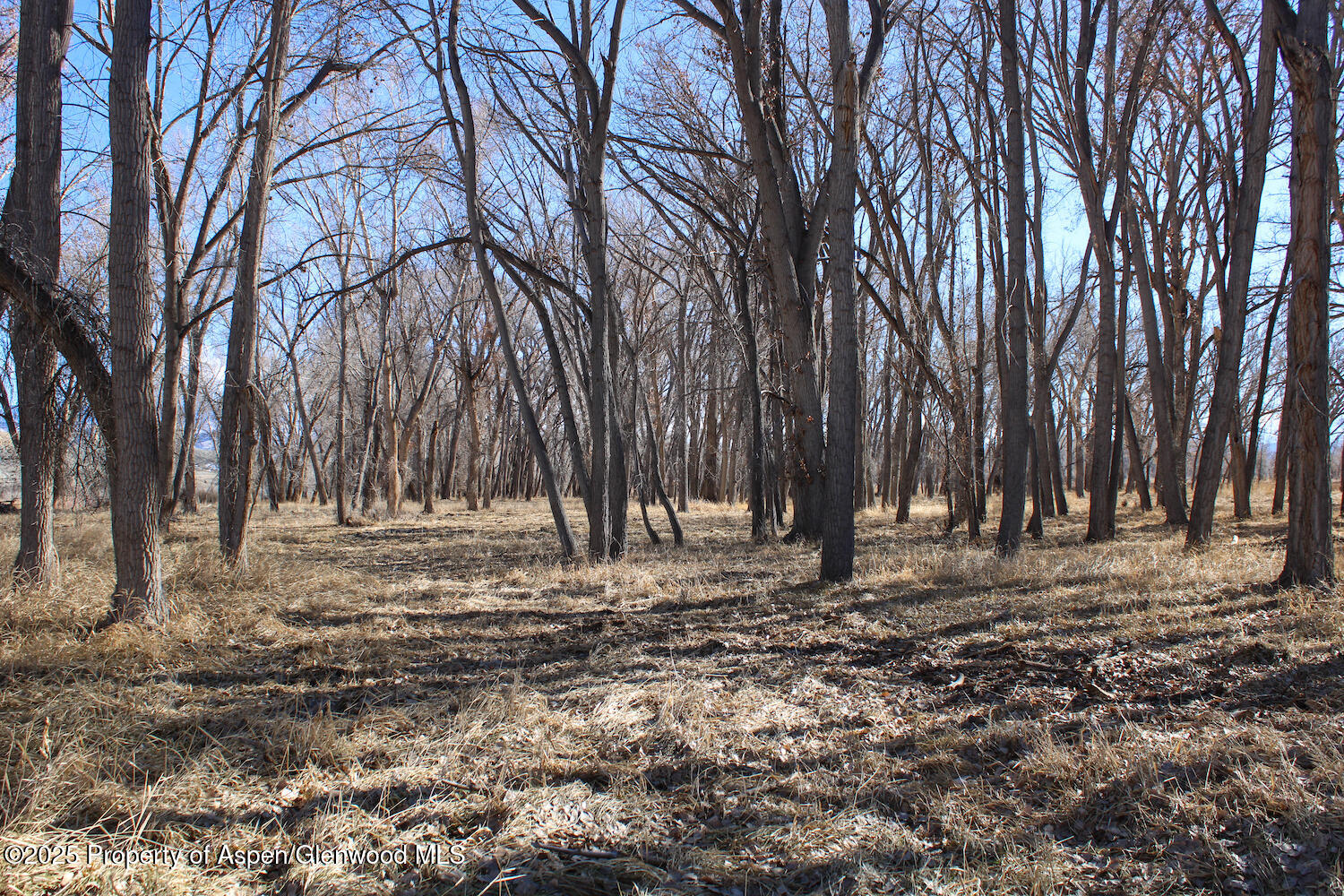 66361 Riverside Road, & 66371 Property Photo 22