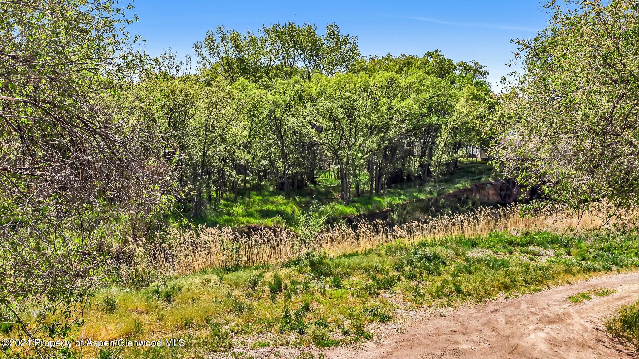1022 East Avenue Property Photo 9