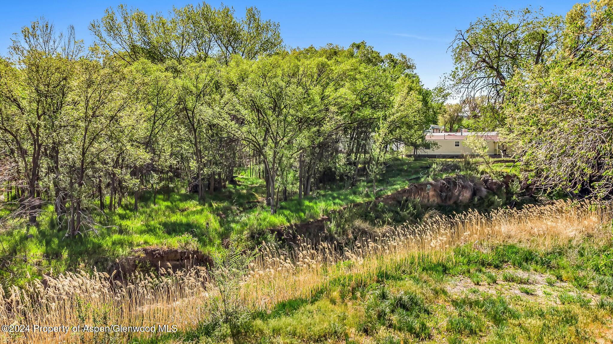 1022 East Avenue Property Photo 10