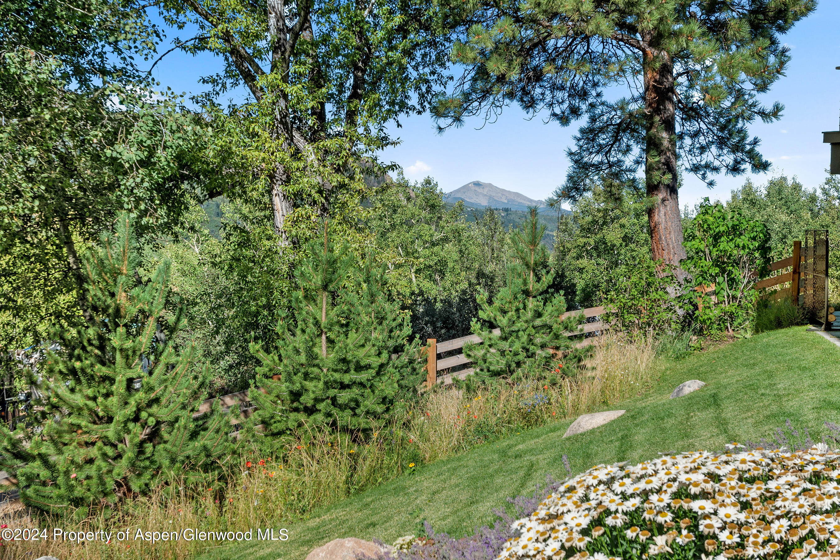552 Mountain Laurel Drive Property Photo 51