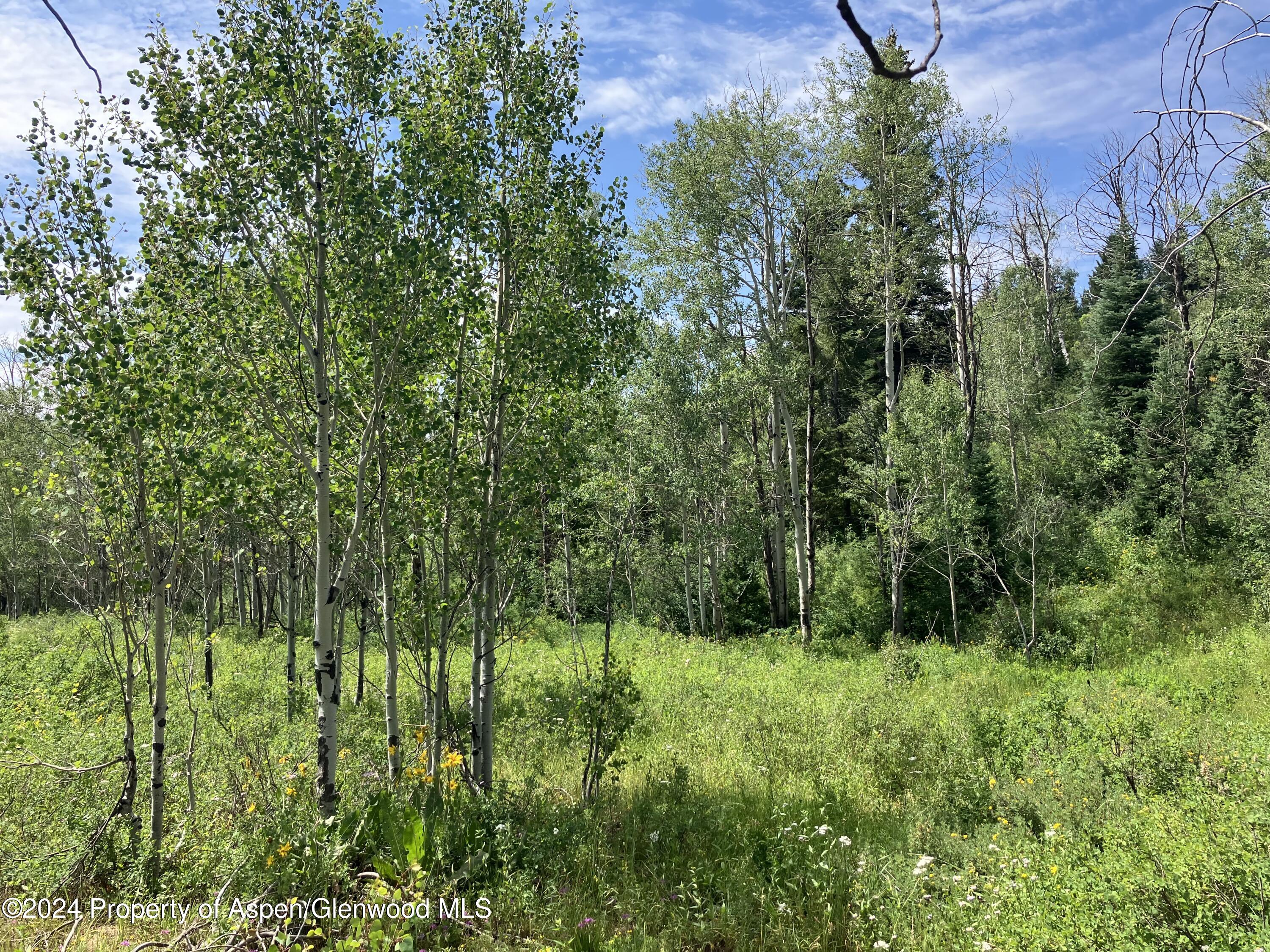 Lot 16b Mountain Springs Road Property Photo 12