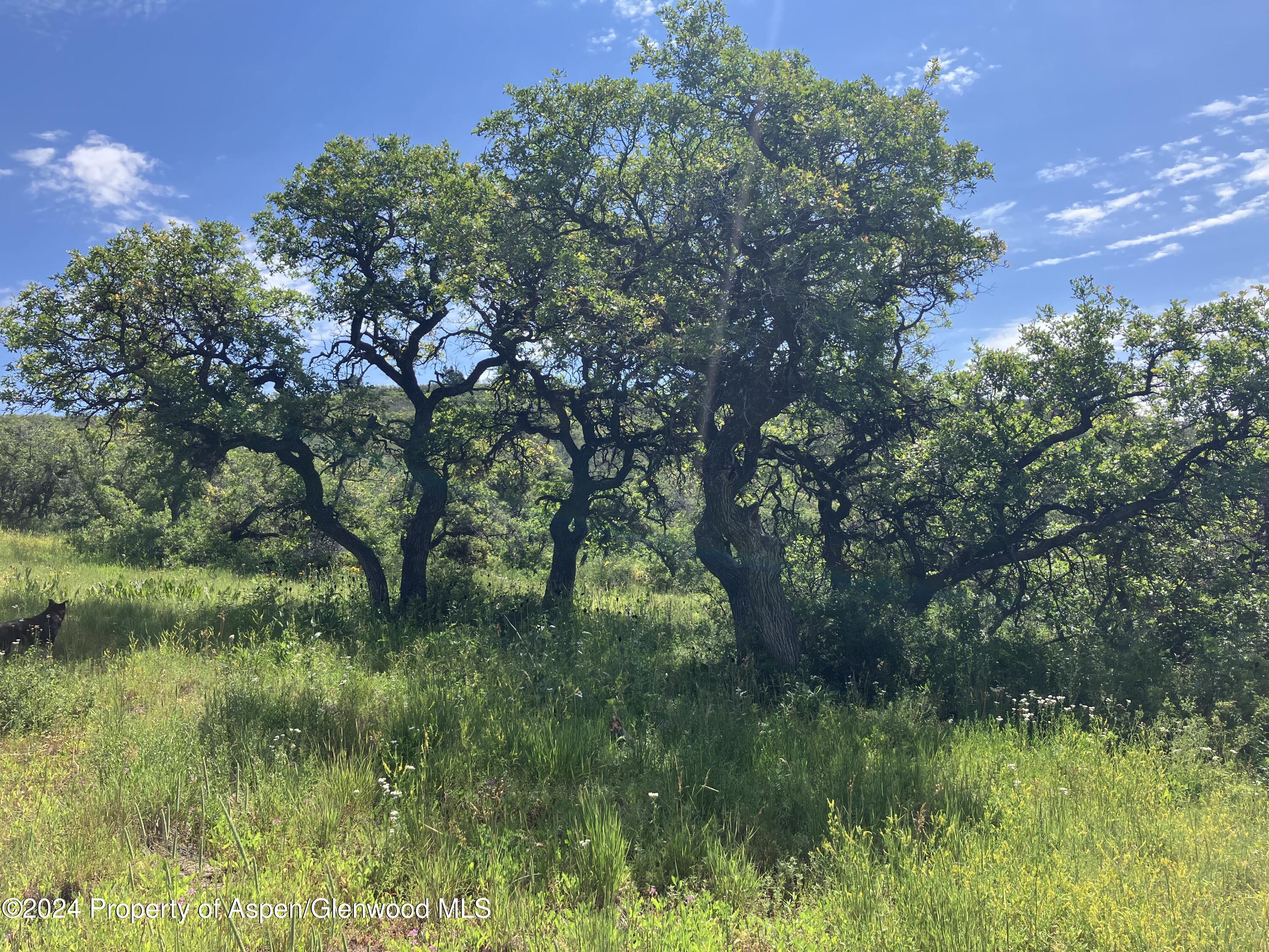 Lot 16b Mountain Springs Road Property Photo 18