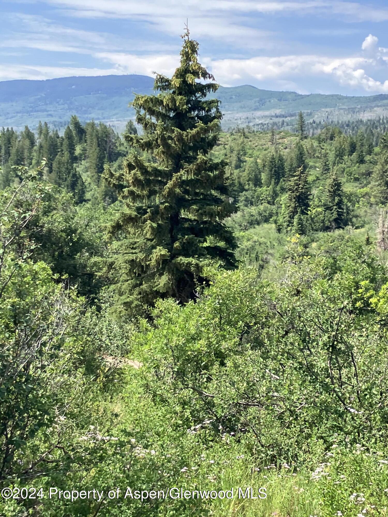 Lot 16b Mountain Springs Road Property Photo 20