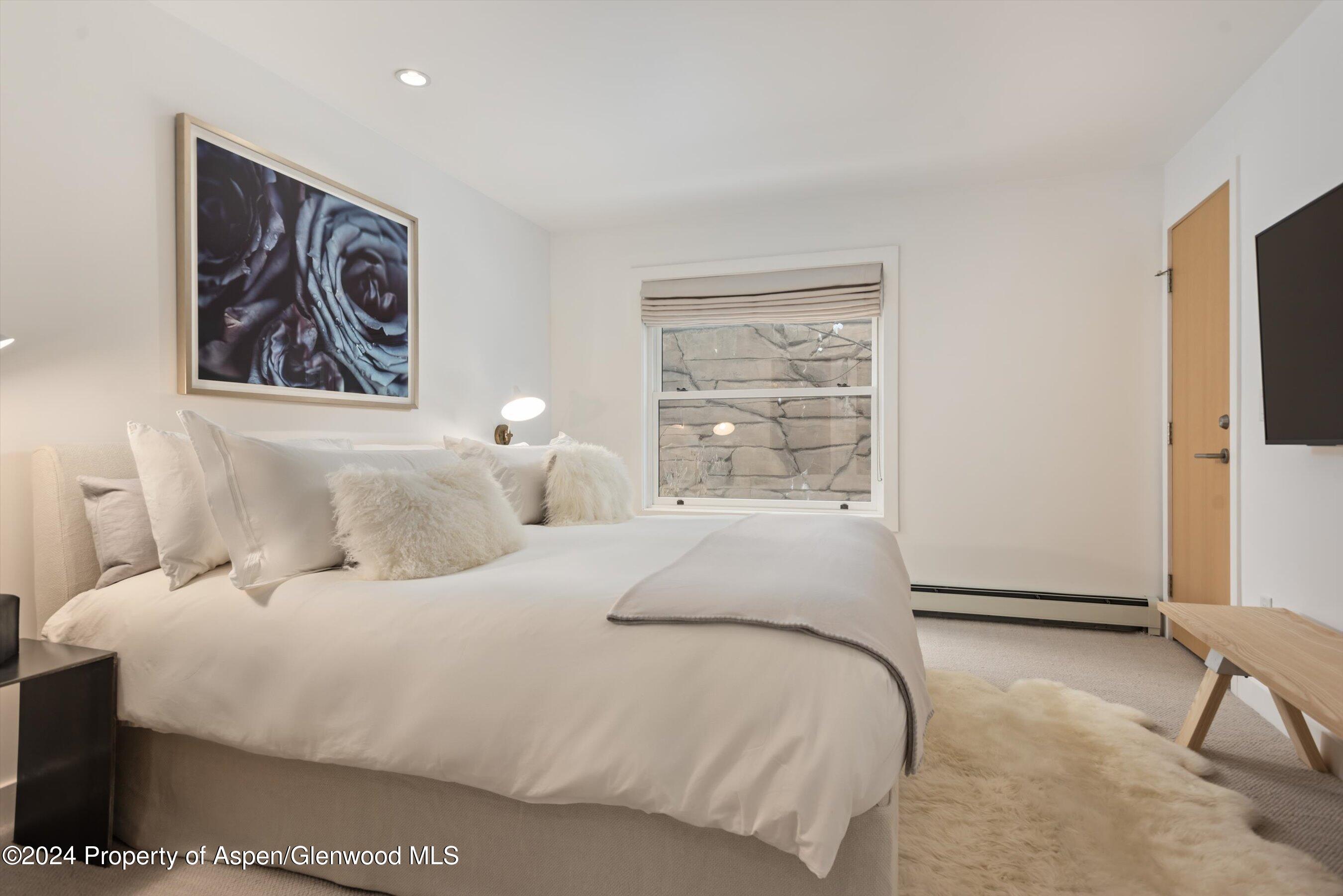 728 S Galena Street, 102-b Property Photo 12