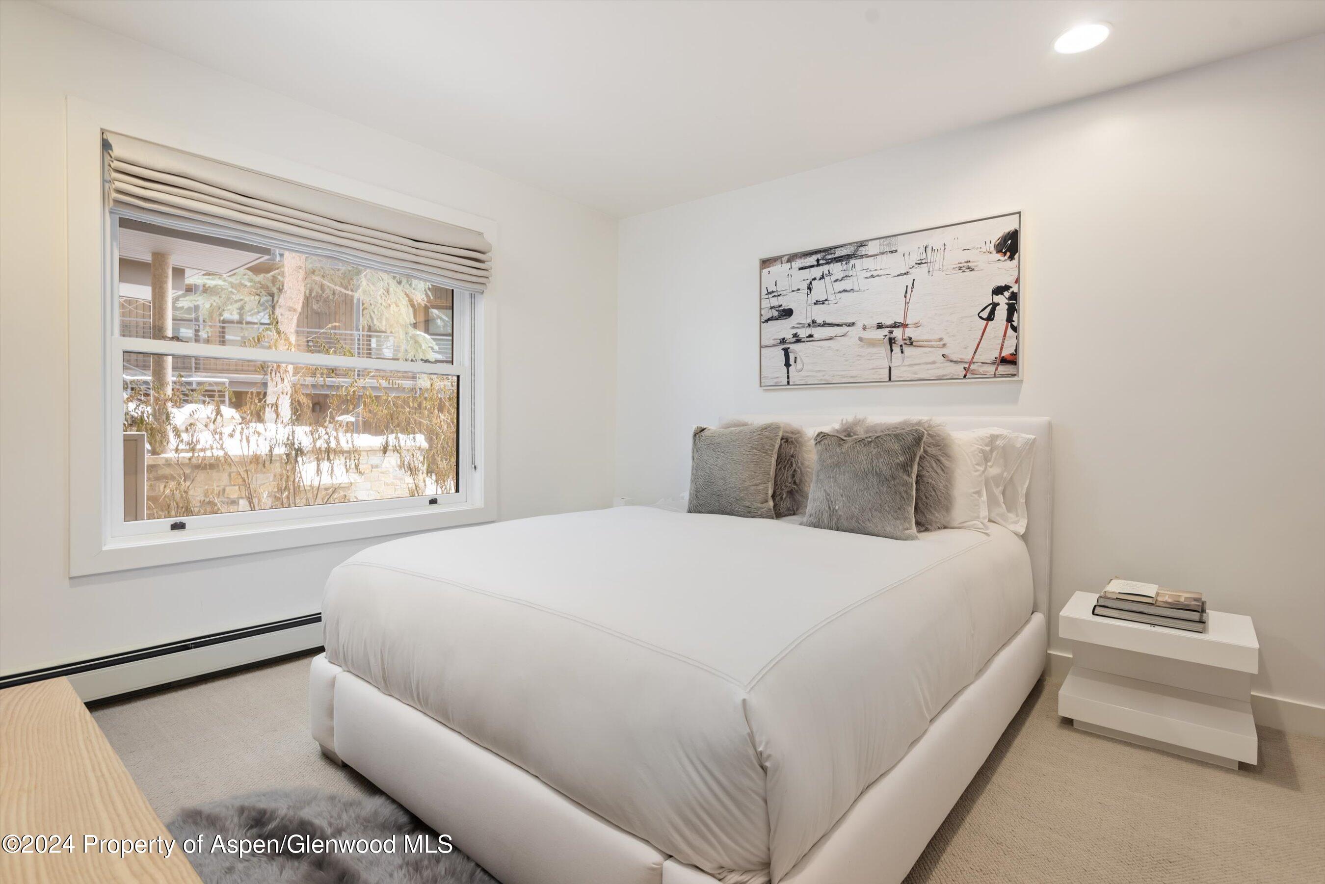728 S Galena Street, 102-b Property Photo 16