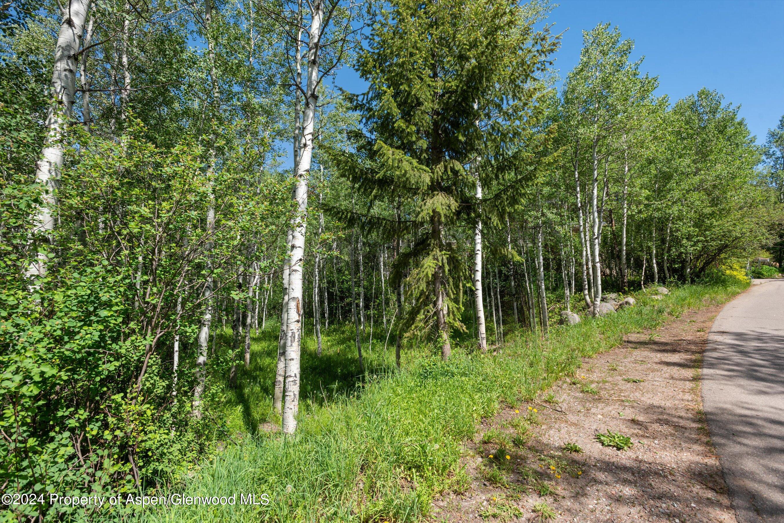 1265 Riverside Drive Property Photo 4