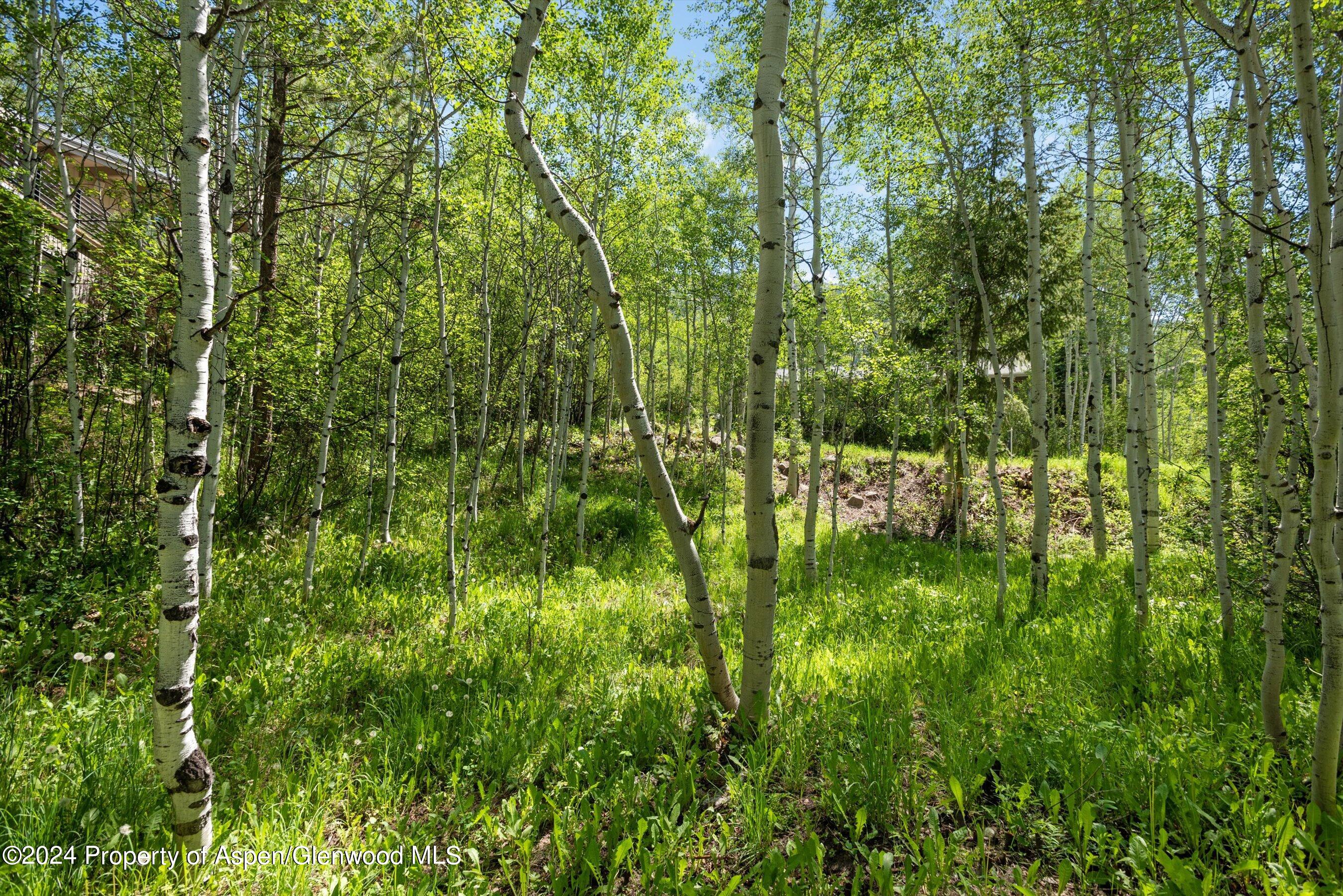 1265 Riverside Drive Property Photo 7