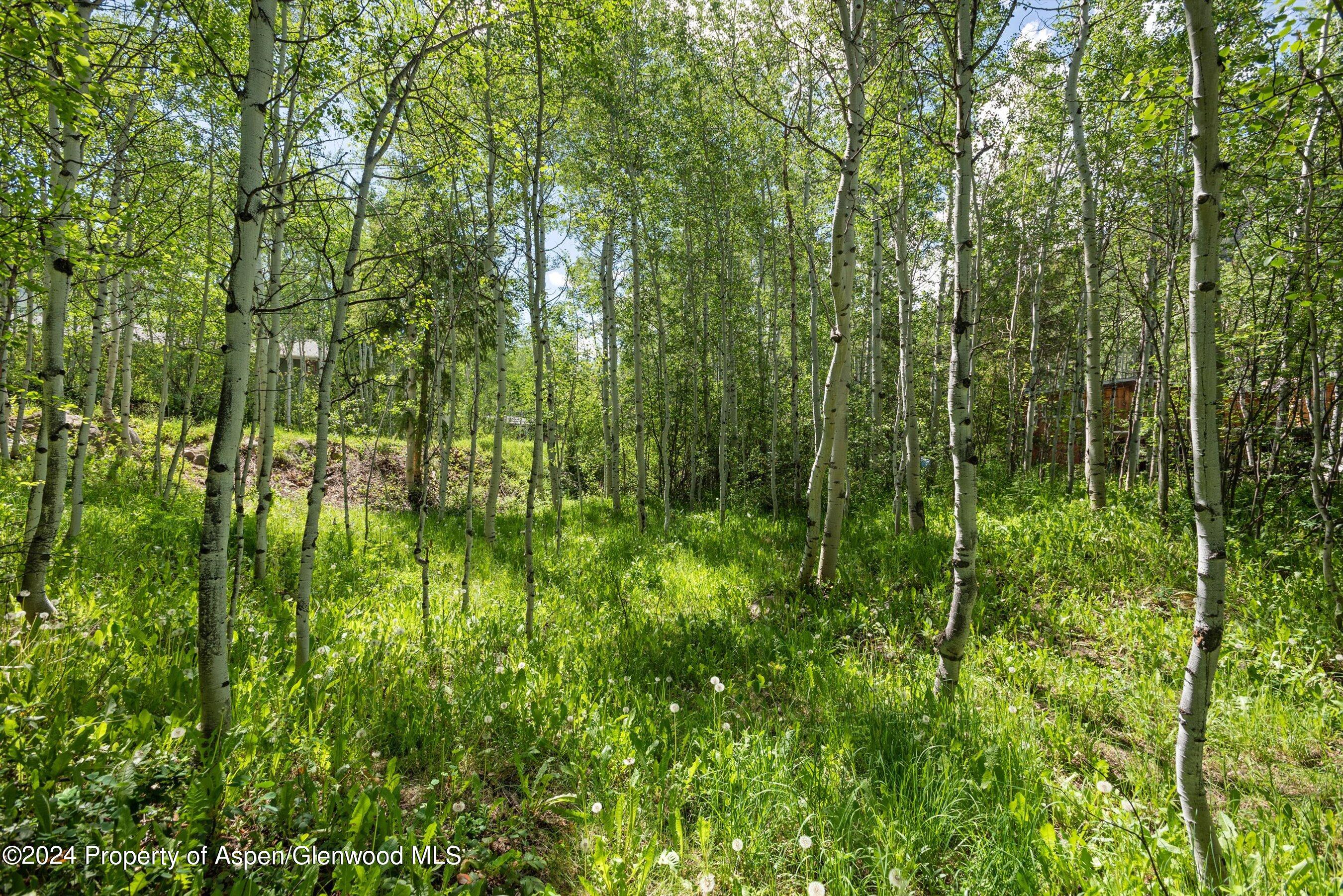 1265 Riverside Drive Property Photo 10