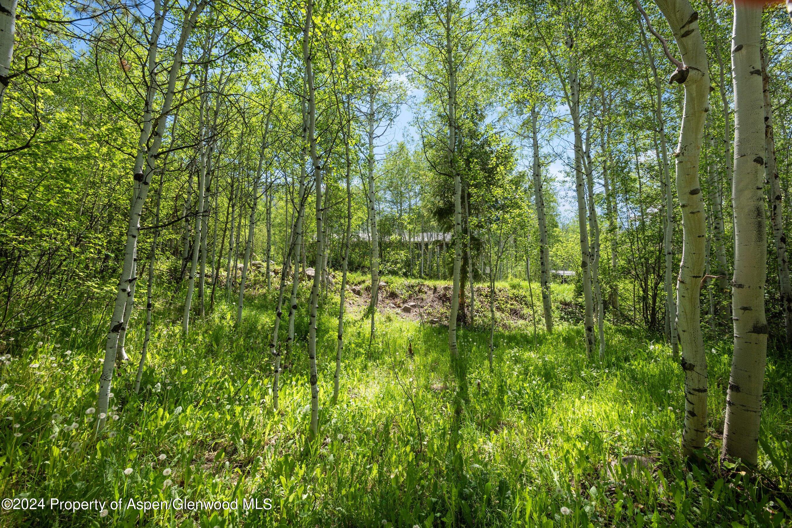 1265 Riverside Drive Property Photo 11