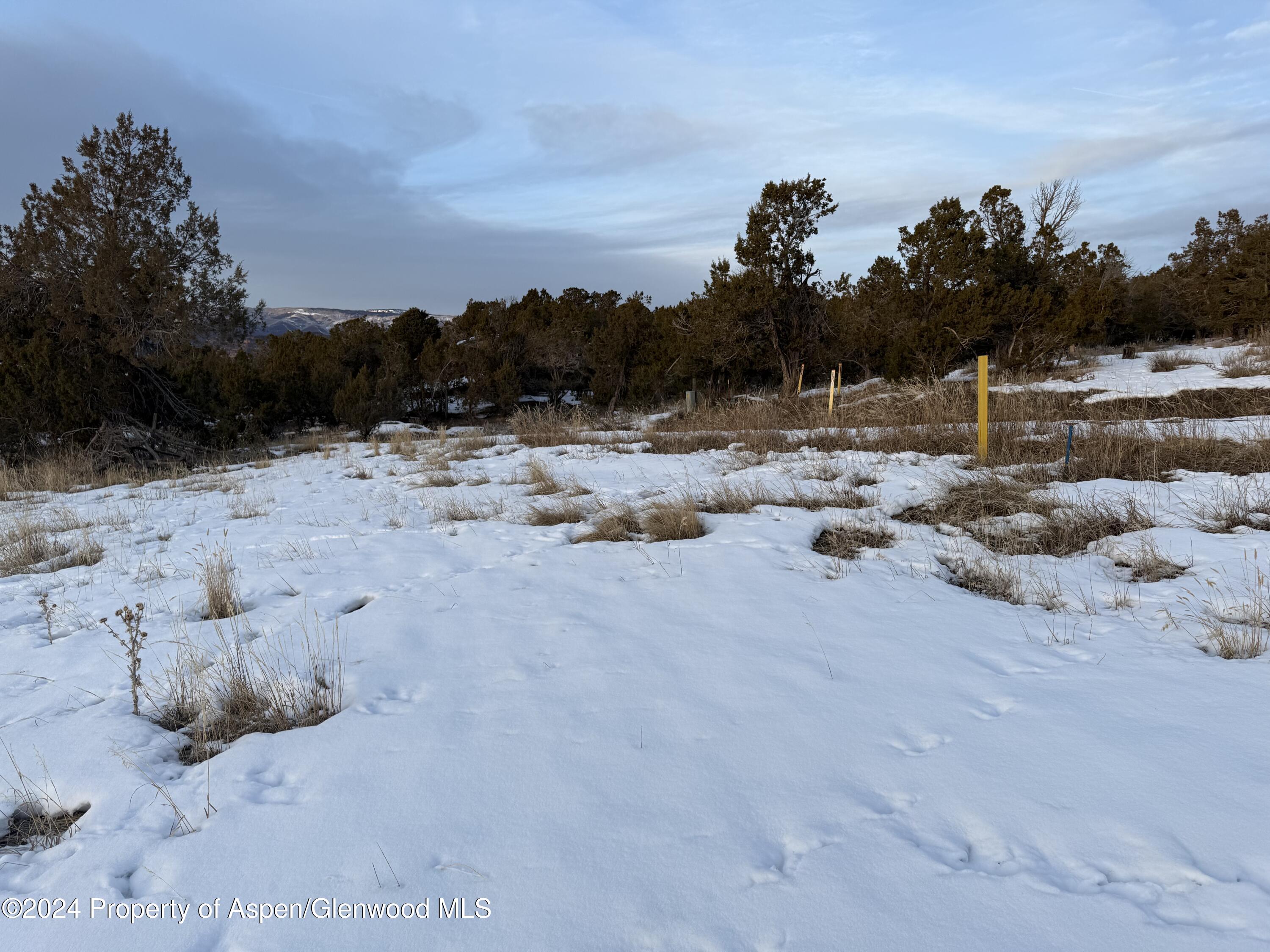 14495 Scott Loop Property Photo 8