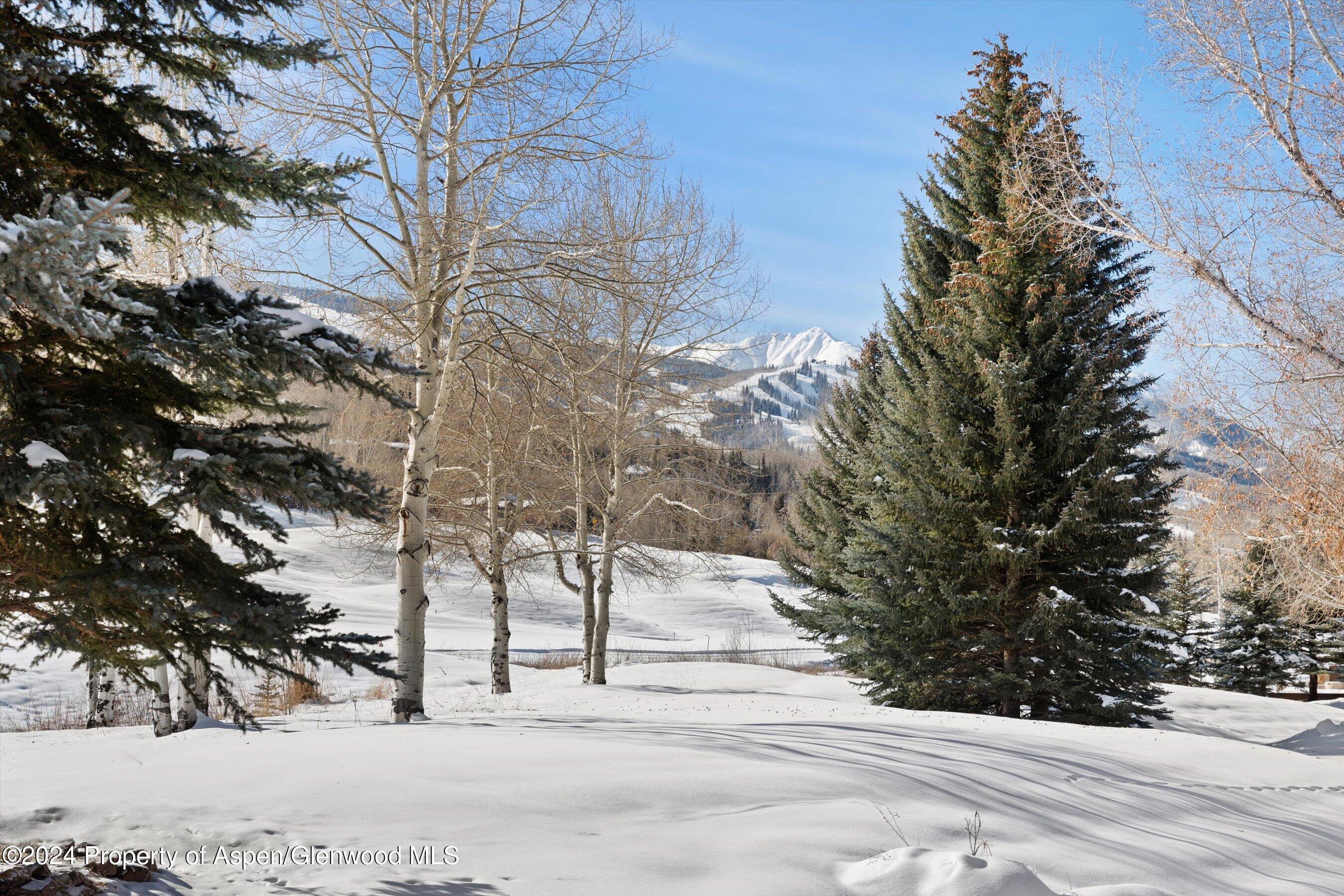 366 Snowmass Club Circle, 2 Property Photo 18