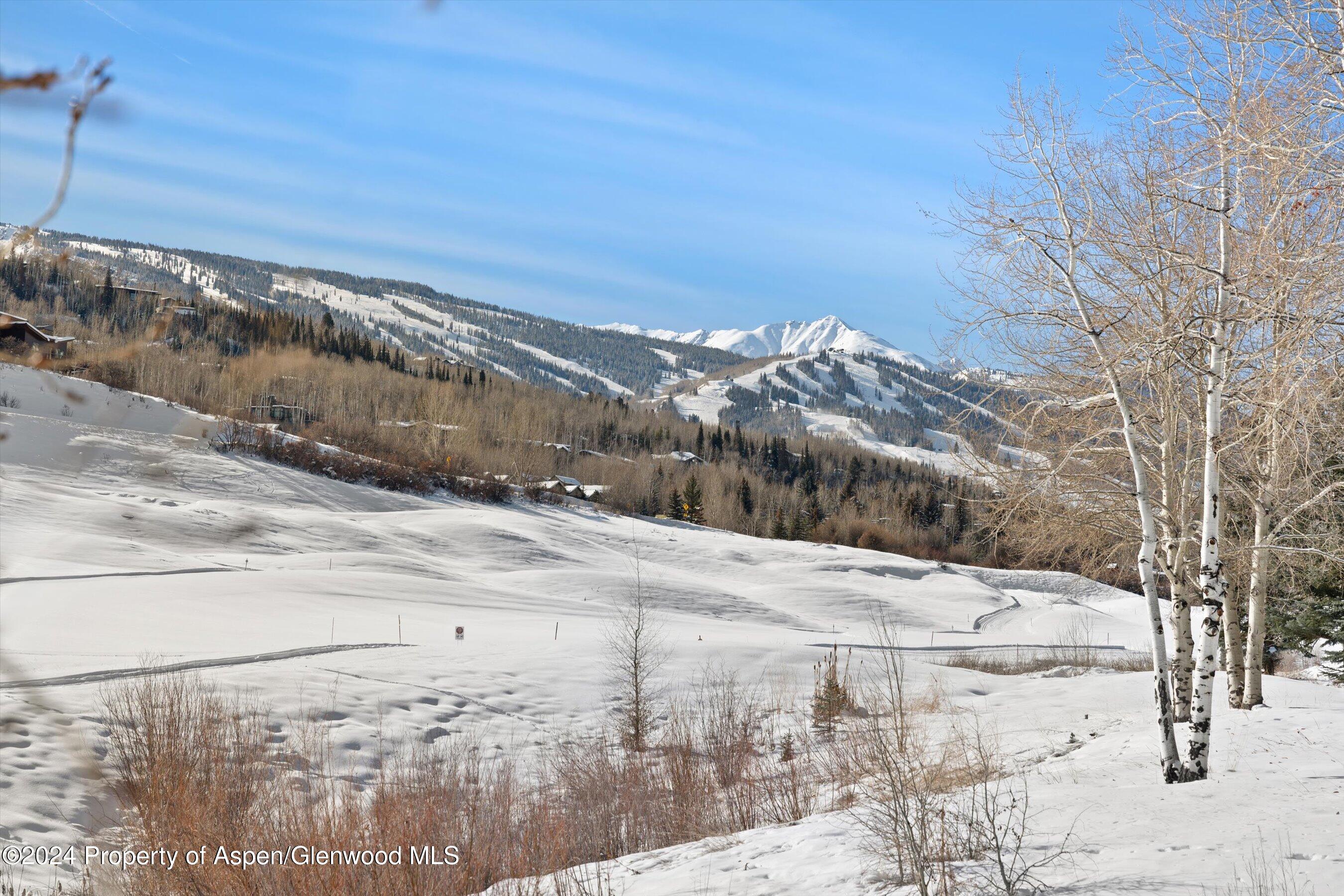 366 Snowmass Club Circle, 2 Property Photo 19