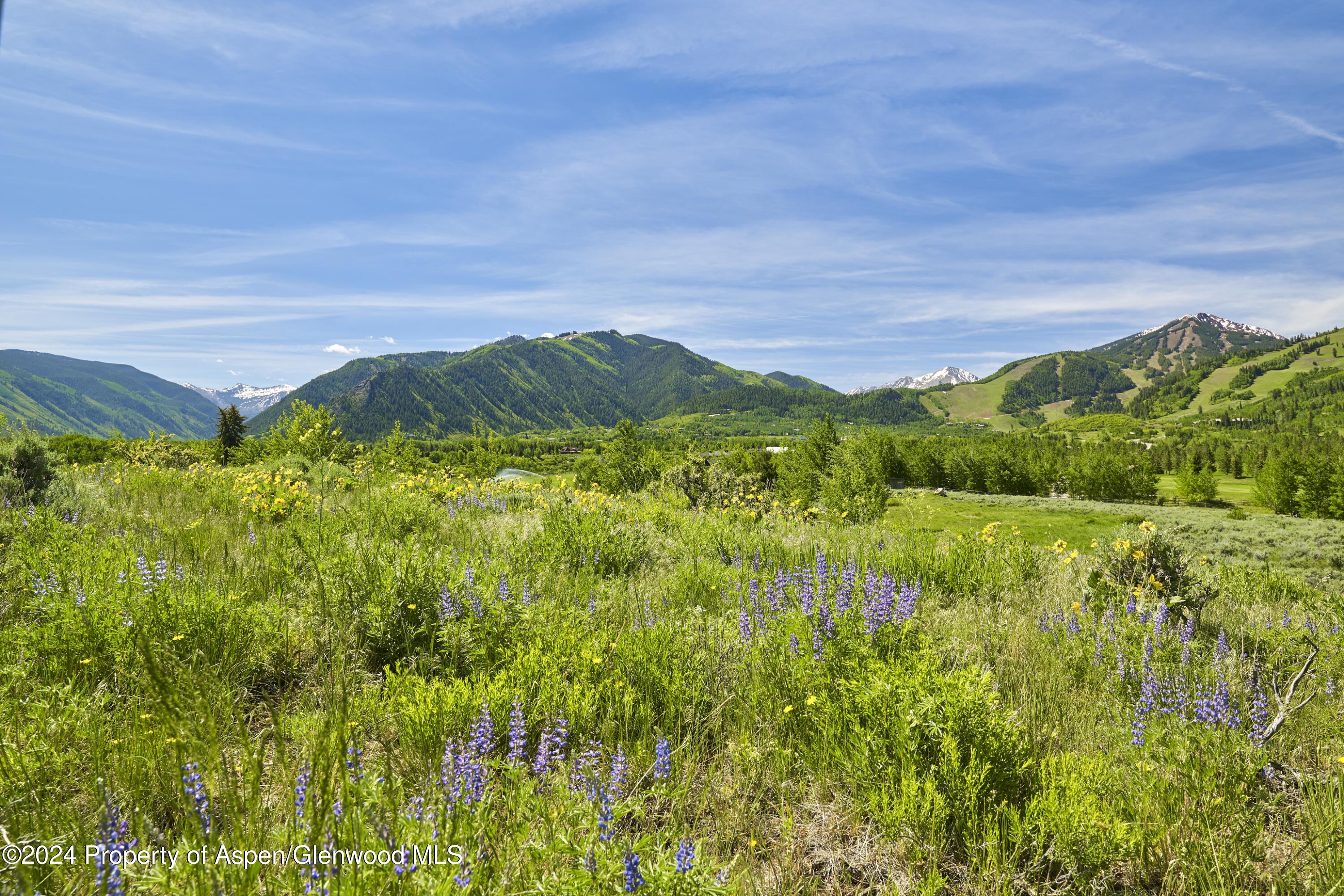 Tbd Stage Road, Lot 6 Property Photo 17