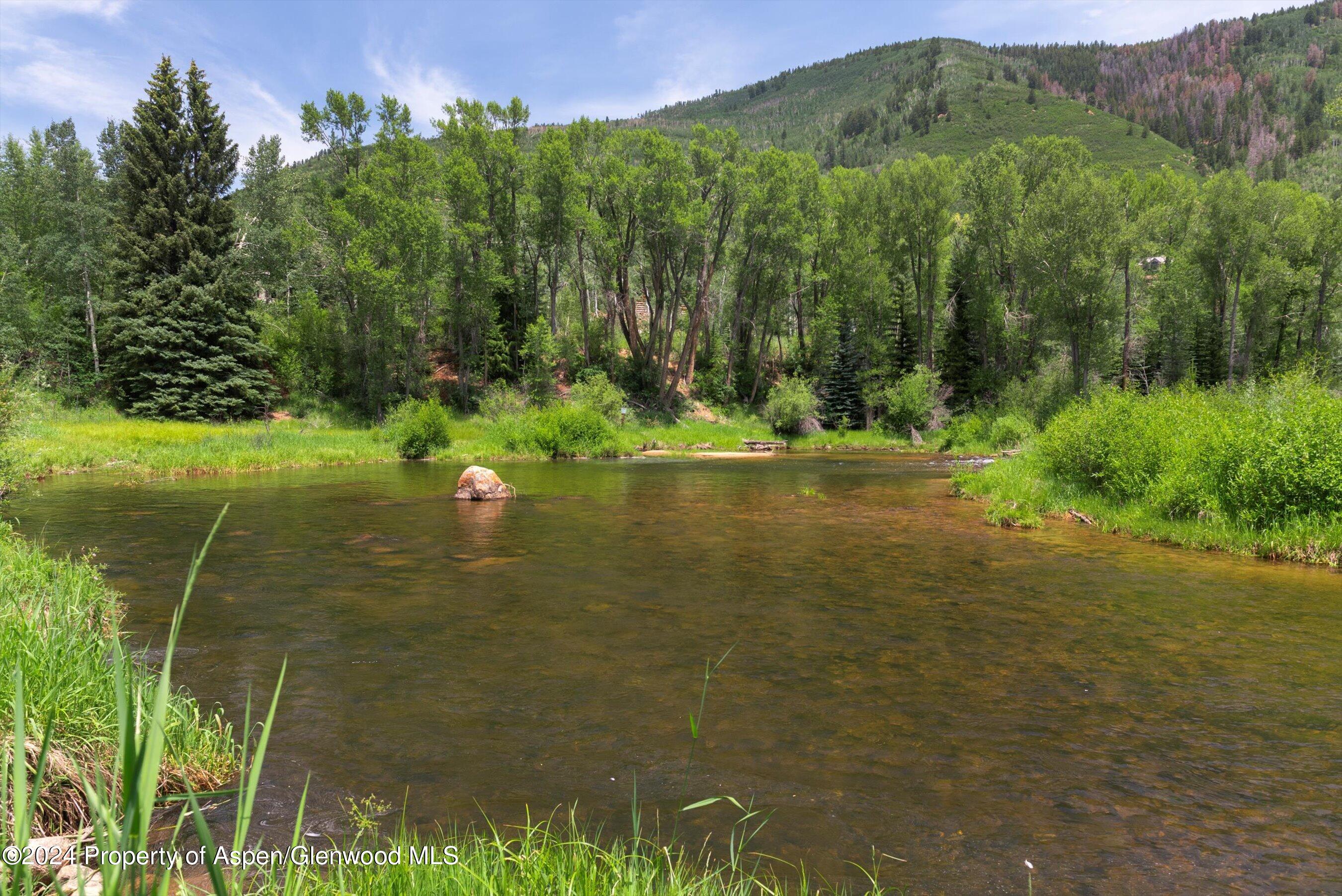 1449 Crystal Lake Road Property Photo 8