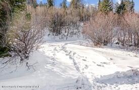 Lot 4 Bear Lane Property Photo 15
