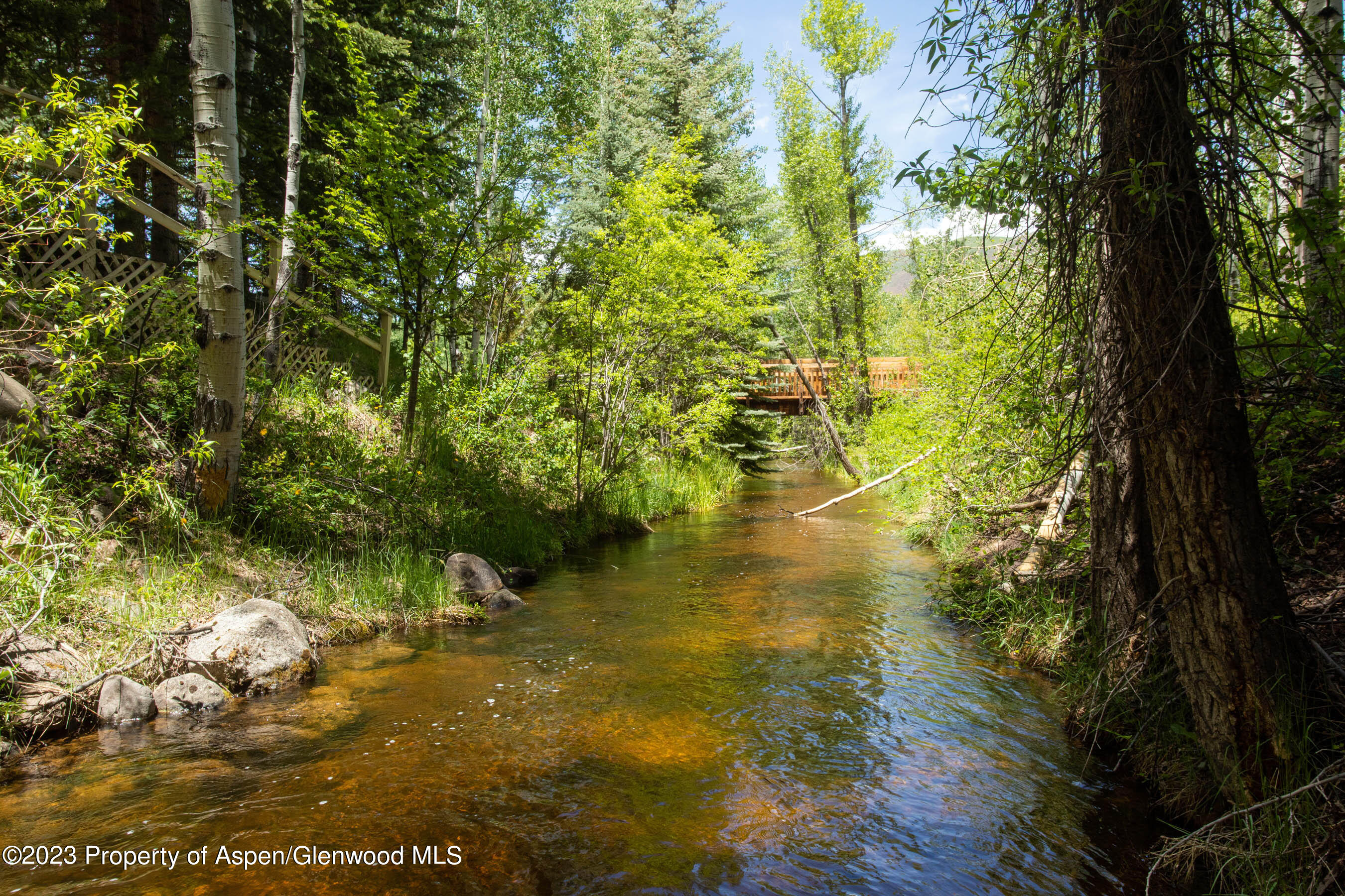 1452 Crystal Lake Road Property Photo 17